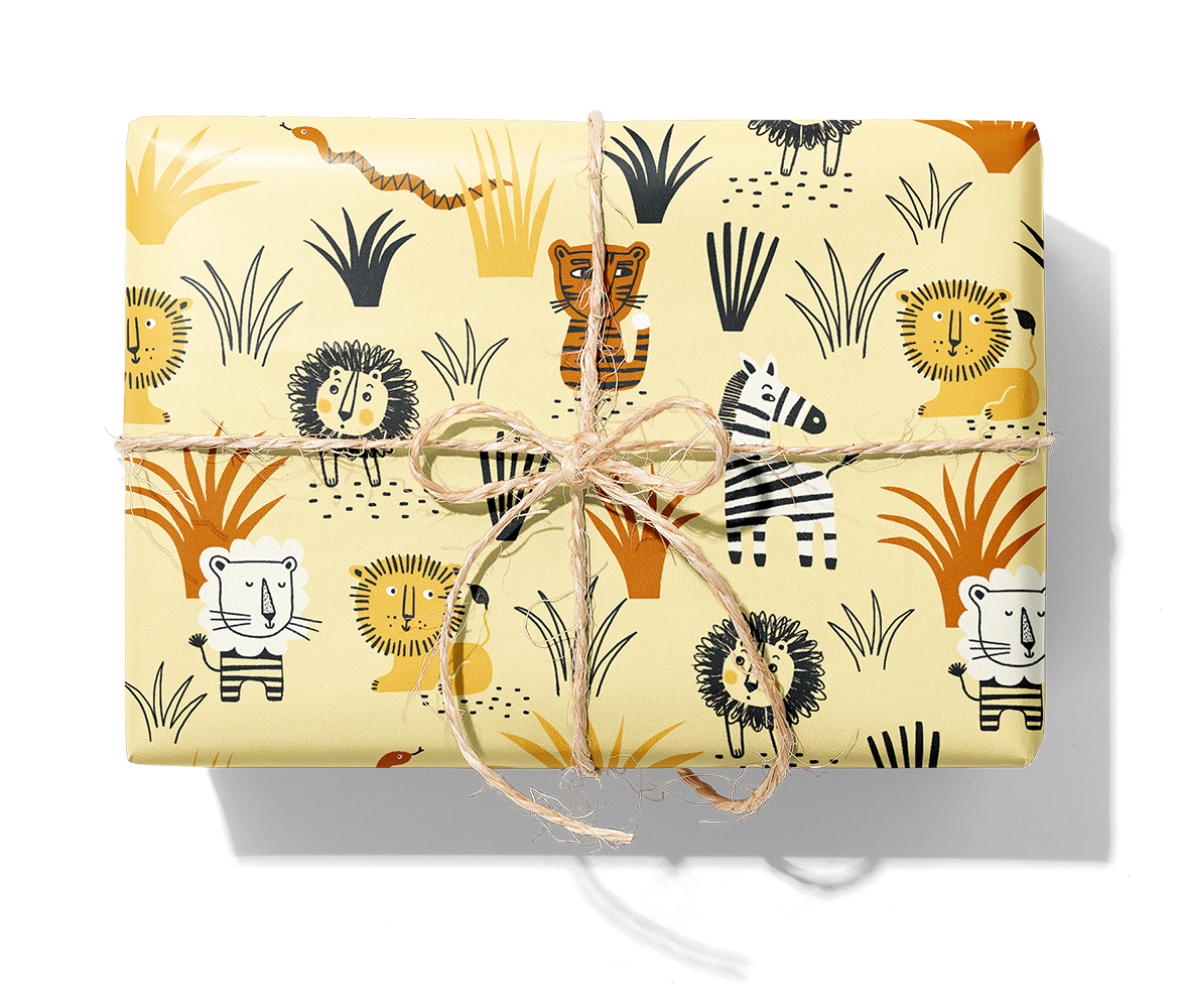 24931 Savannah_1140_Paket.png