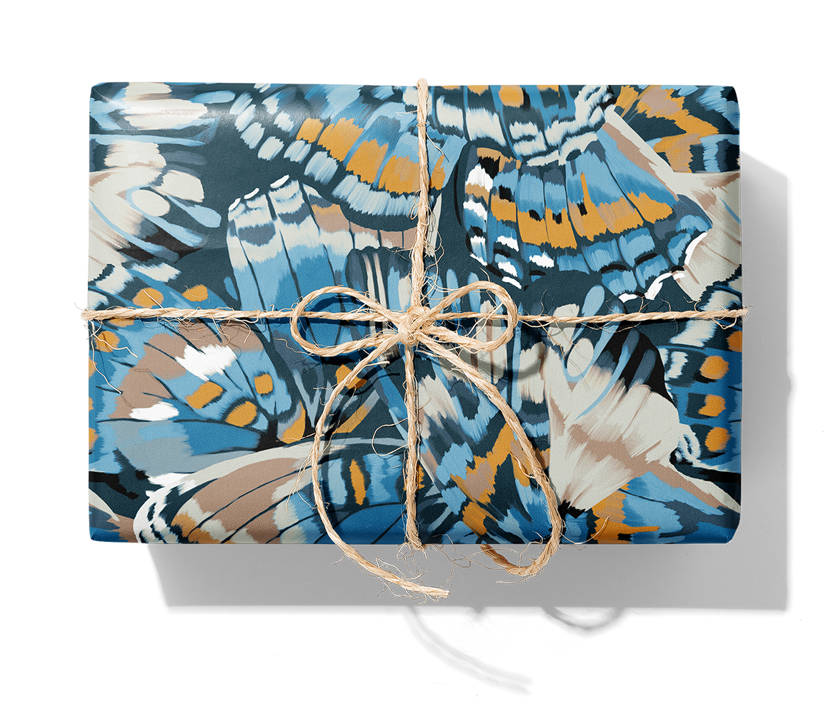 27651 Bluewings 4V_1140_Paket.png