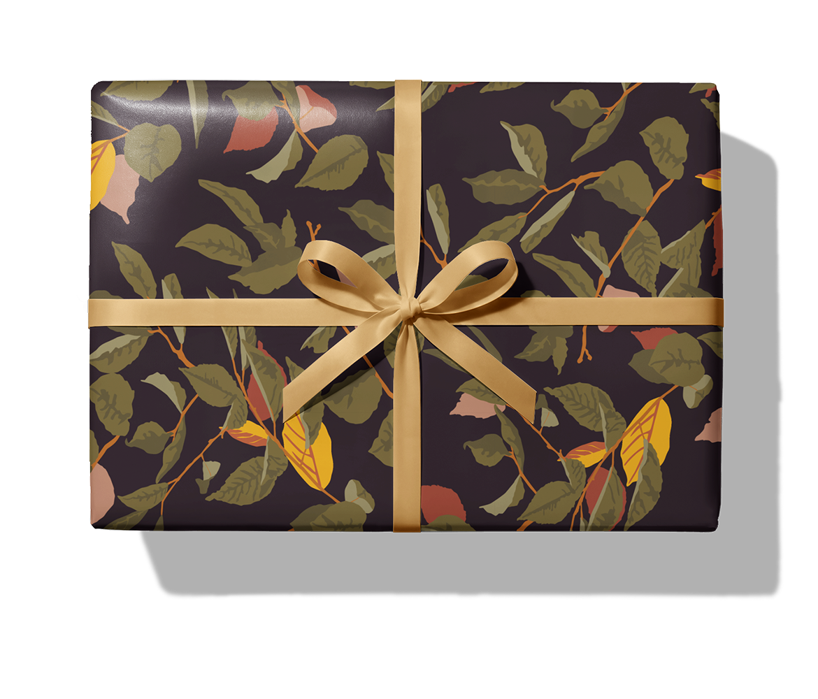 28341 ASP_cmyk+fond 4279c_1140_Paket_Band.png