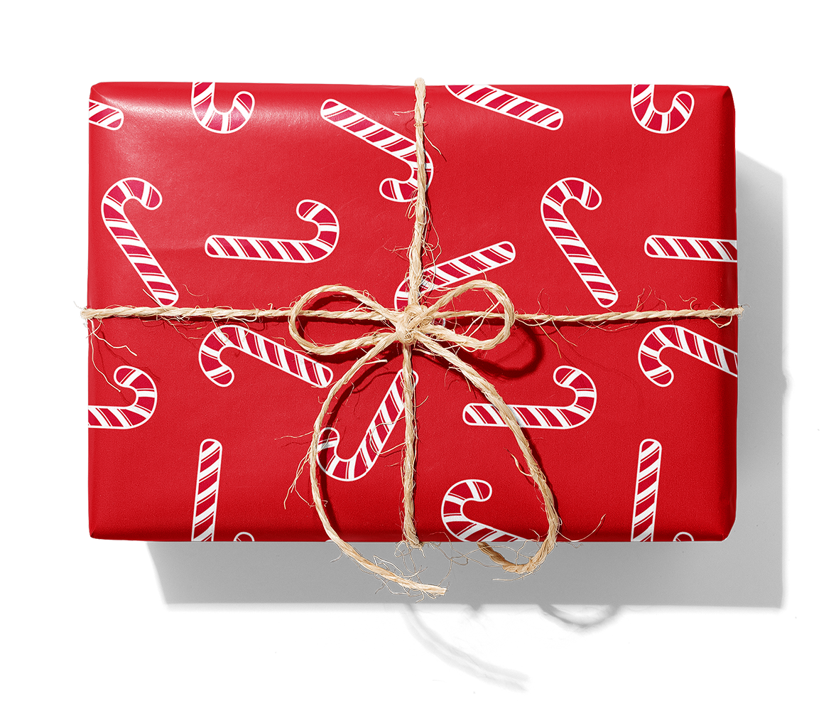 27291 Polka cane_1140_disk_Paket.png