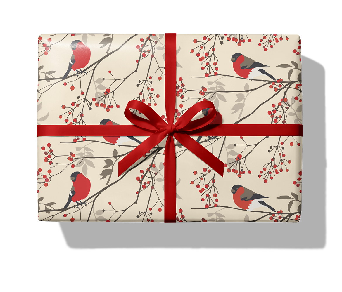 29791 Domherre_5V_fond_9180C_Paket_Band.png