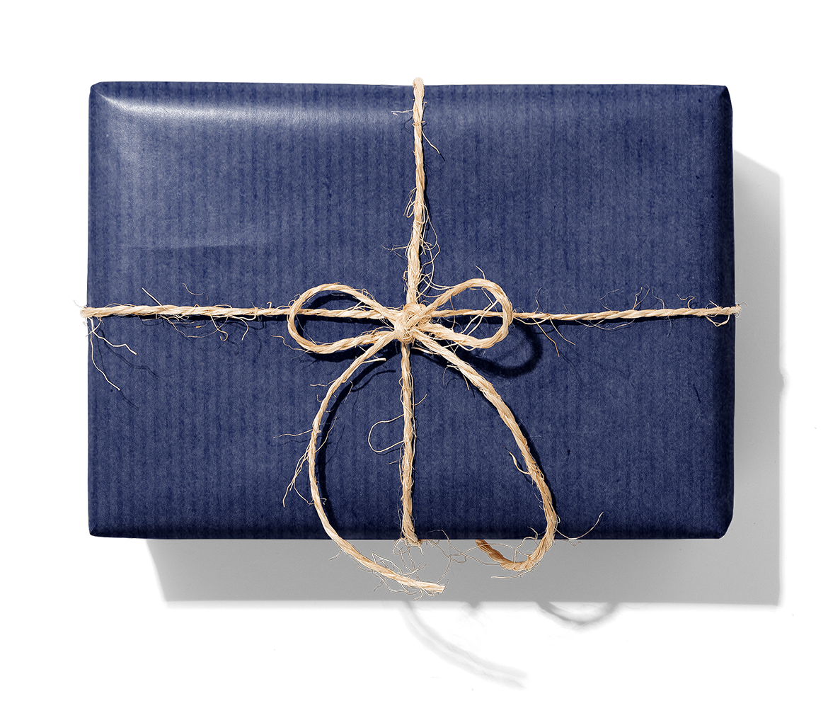 BR66000 Blå_1140_Paket.png