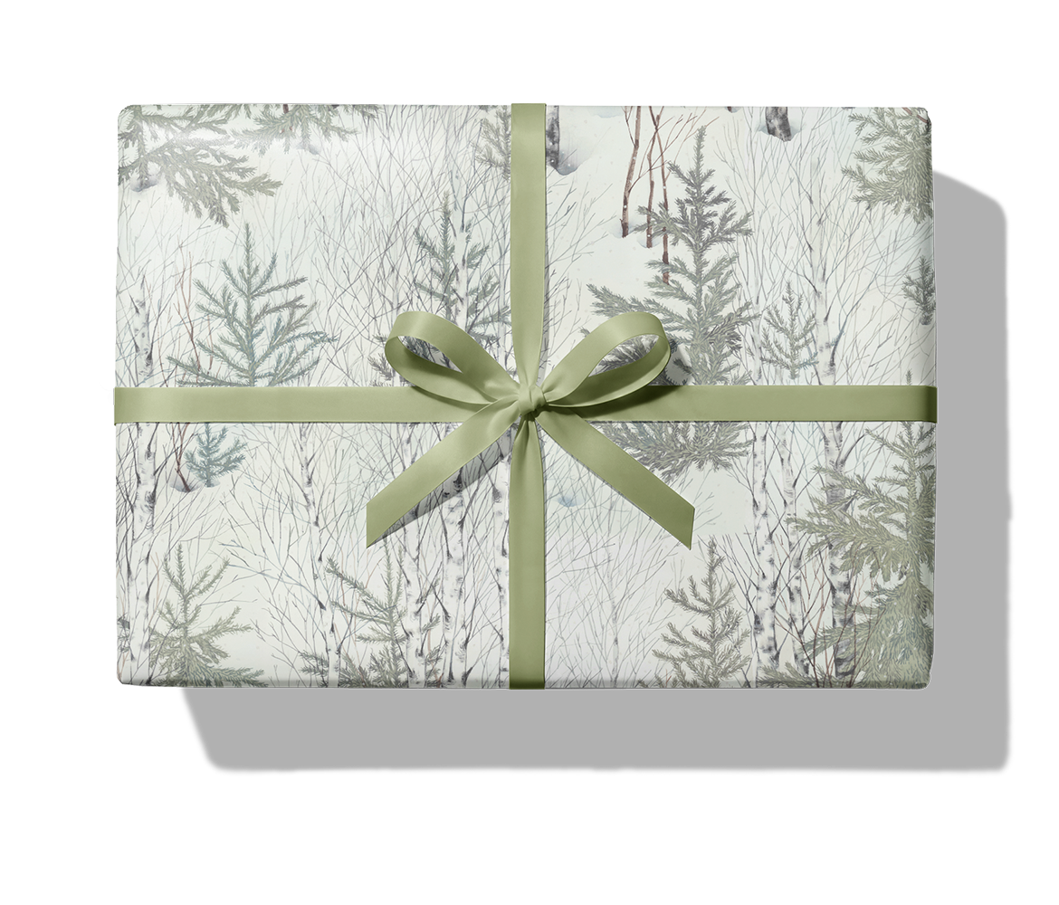 28411_Birch_1140_Paket_Band.png