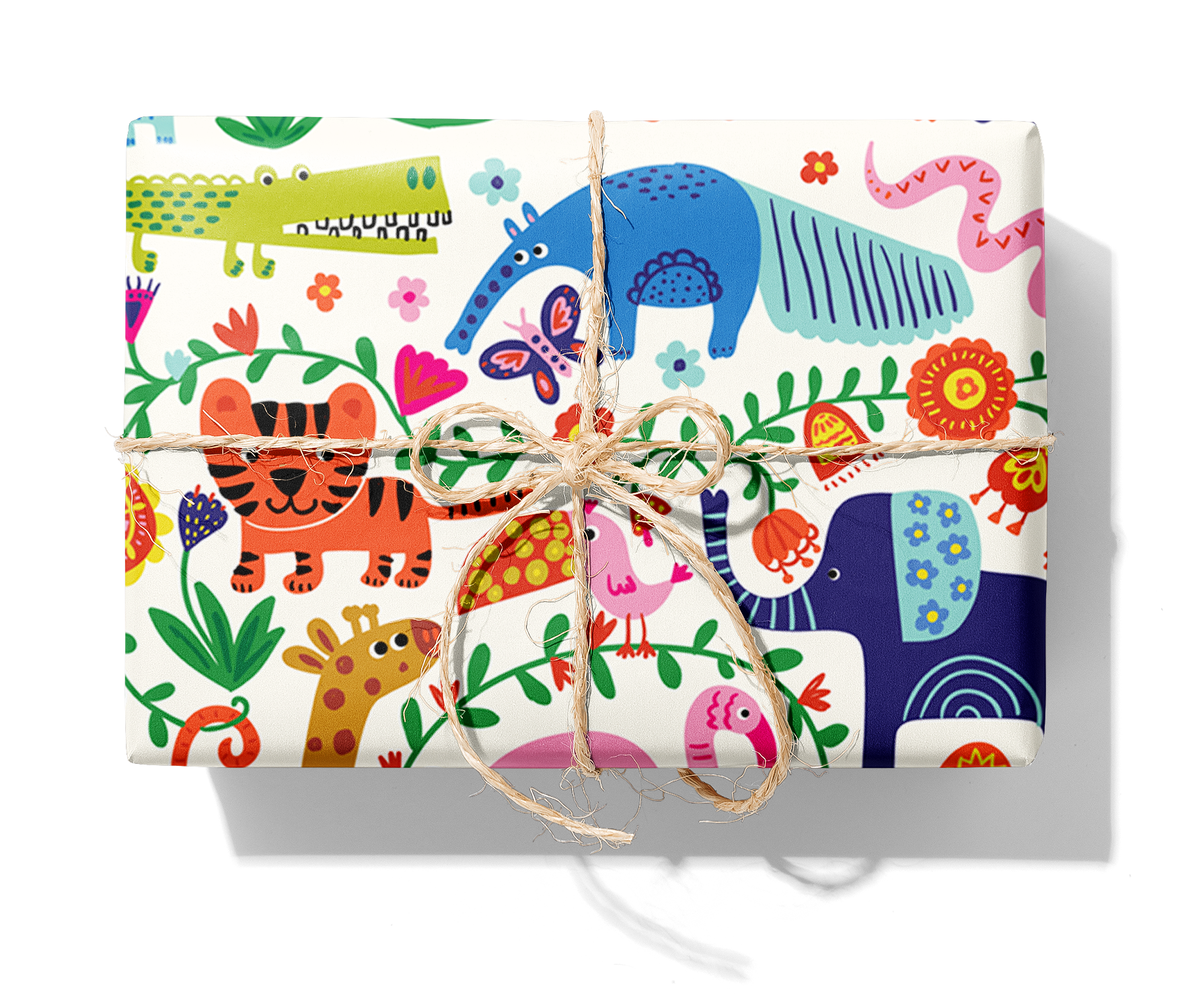 21941 Frank_1140_Paket.png