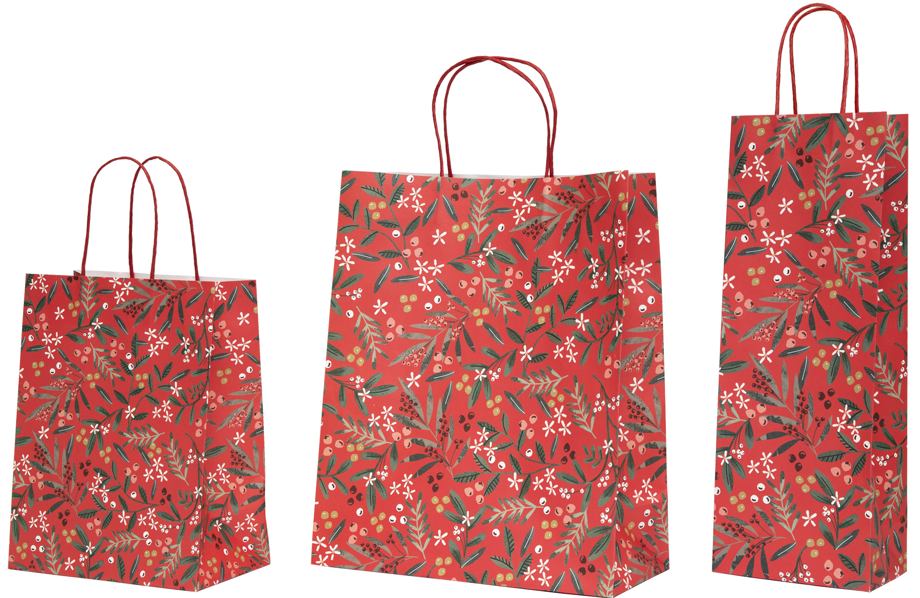 Skimmia_bags_2025-08-11_WEB.png
