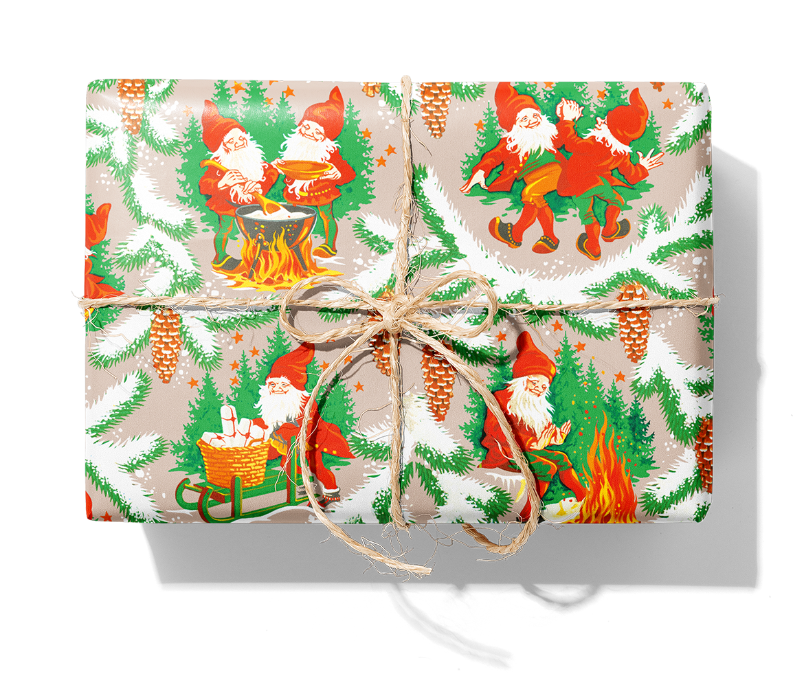 29151 LC Vinterskog_5V_1140_Paket.png