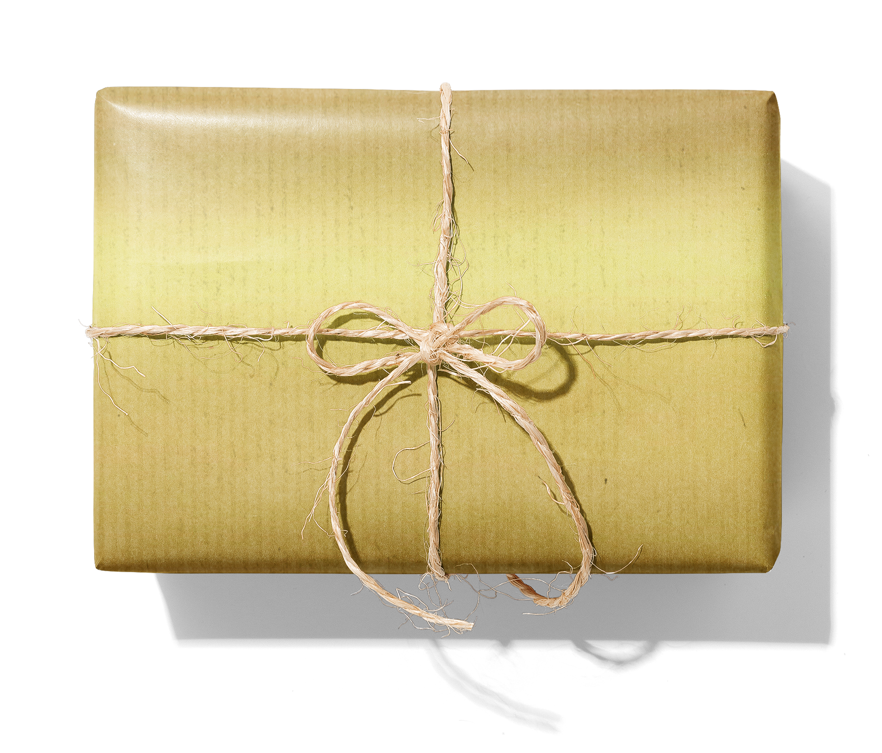 BR66005 Guld_1140_Paket.png