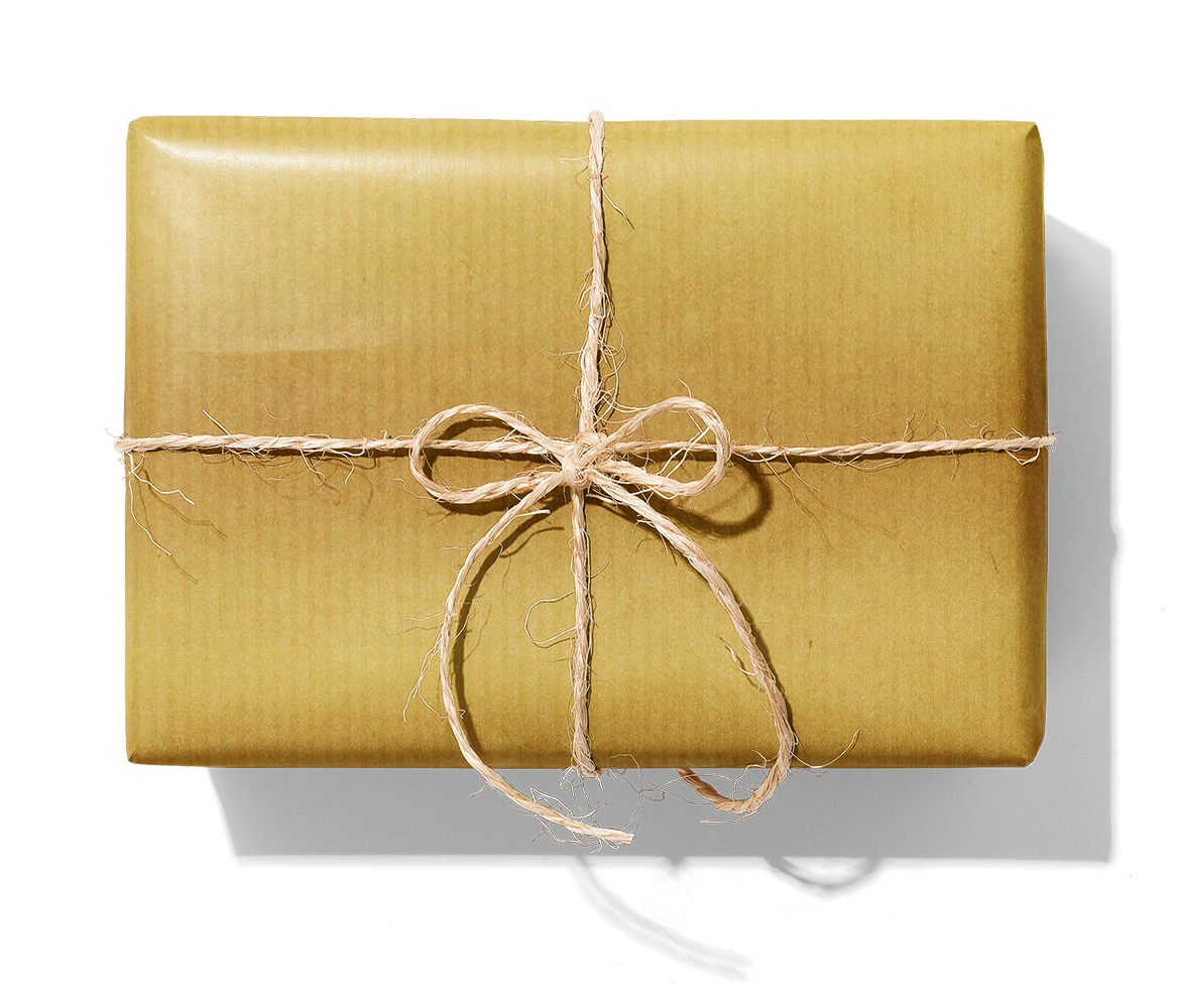 BR66005 Guld_1140_Paket.png