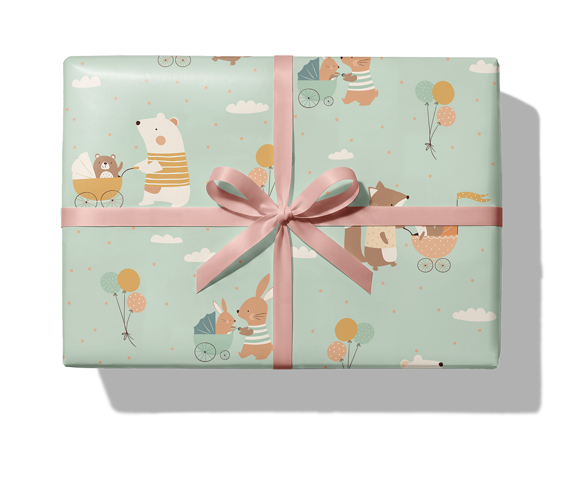 27342 Minibuddy_fond_9543C_1140_Paket_Band.png