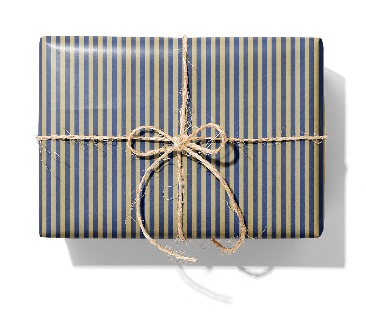 1070H Kadett-blå guld_1140_Paket.png