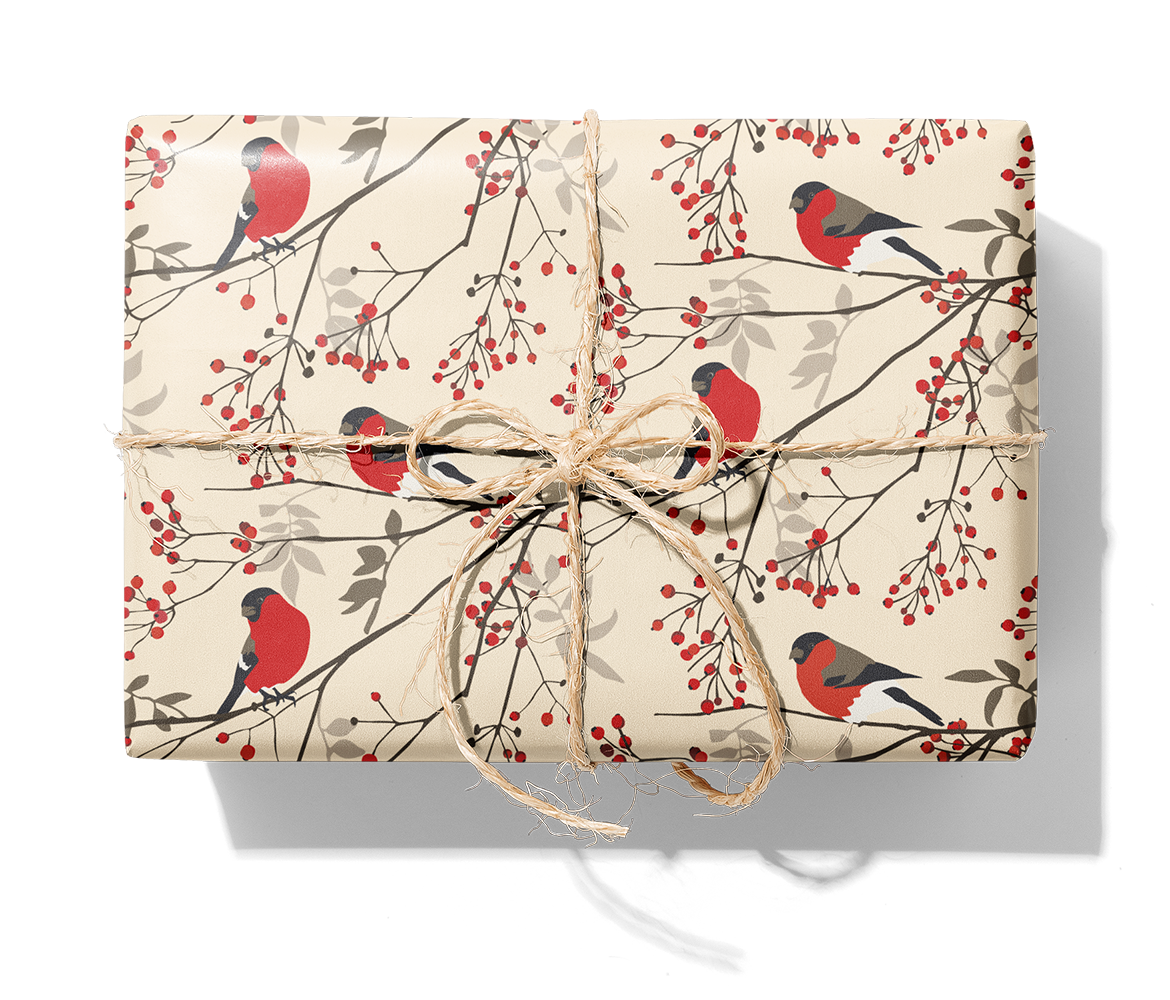 29791 Domherre_5V_fond_9180C_Paket.png