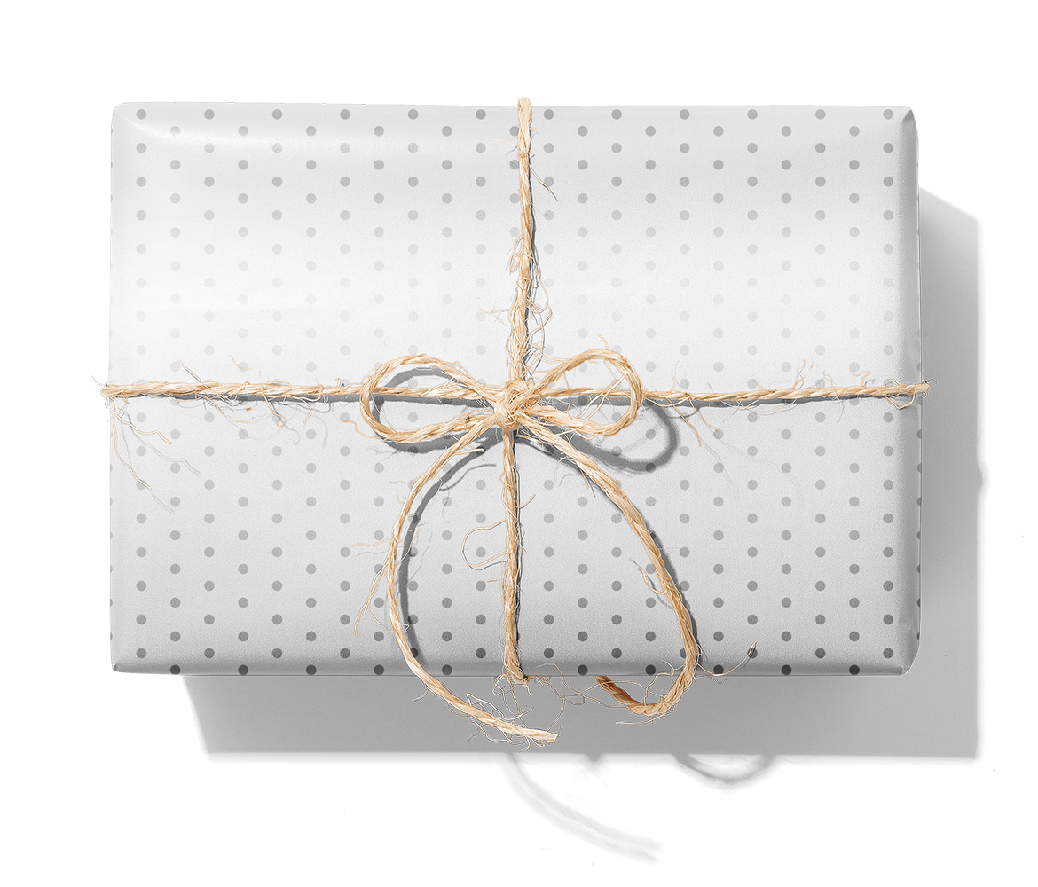 M21561 Miniprickar_silver_transparent_1140_Paket.png