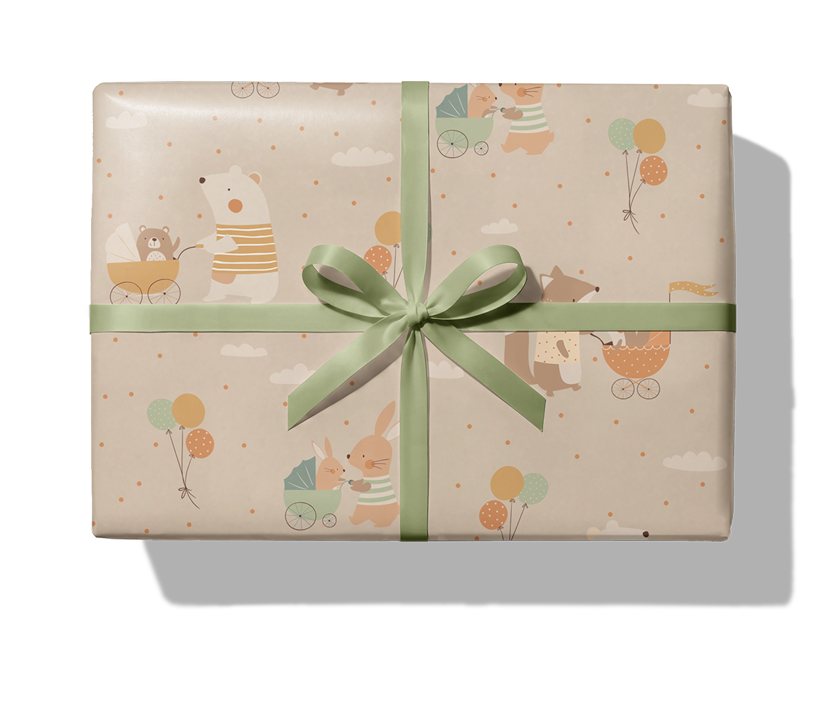 BS27341 Minibuddy_1140_Paket_Band.png