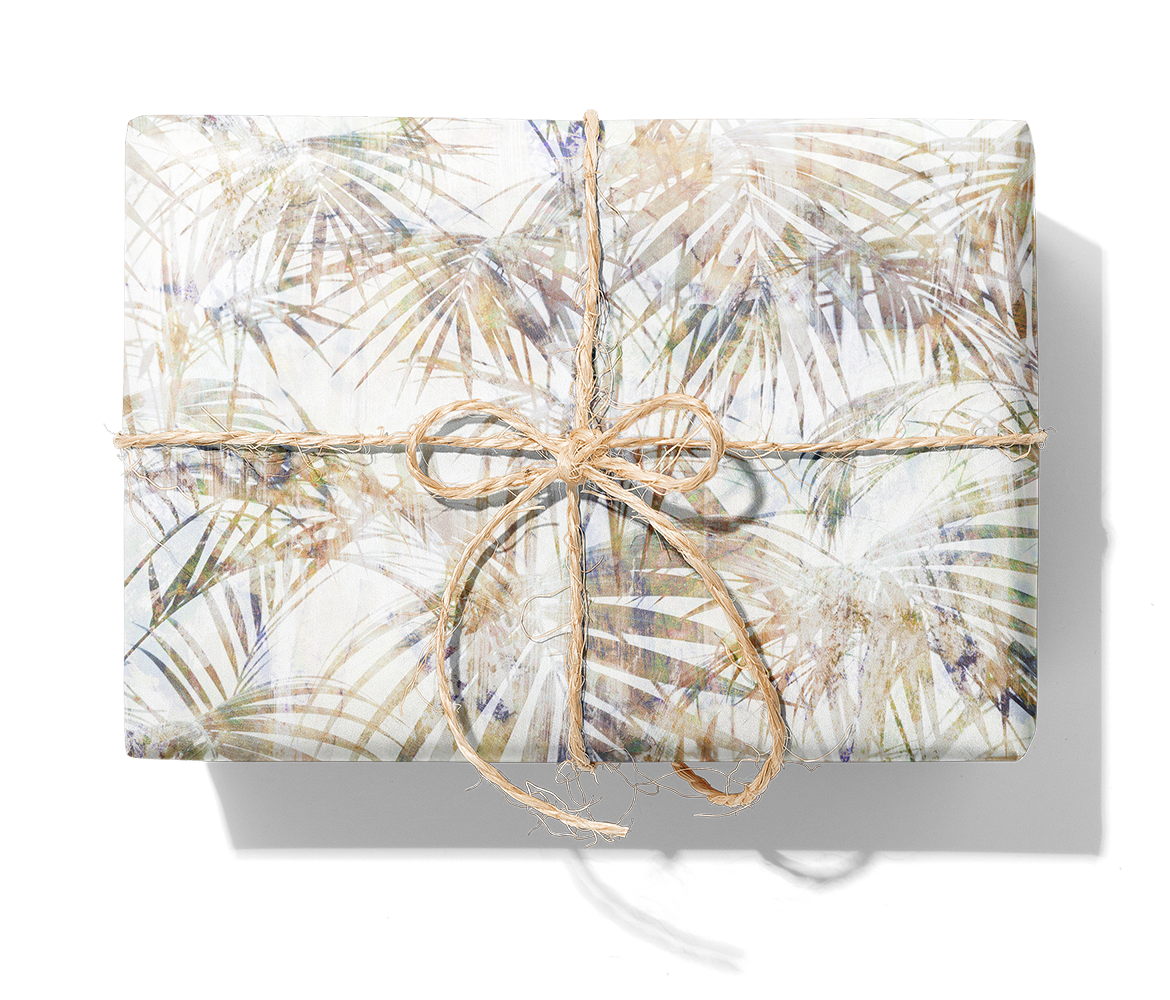 28281 Palmshadow_1140_Paket.png