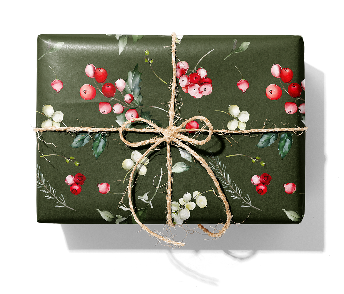 27331 Noel_1140_disk_Paket.png