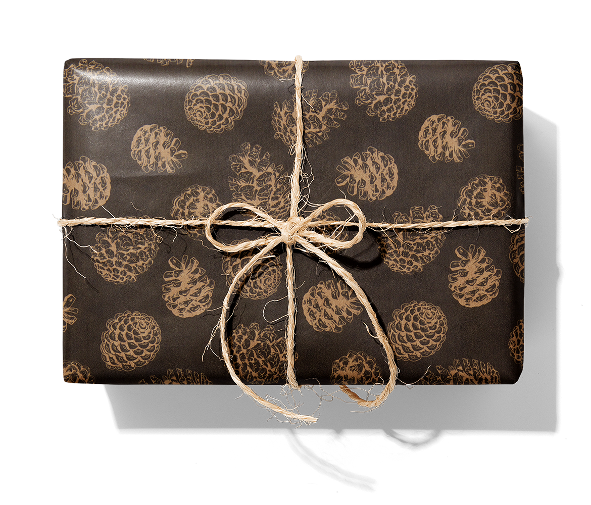 BR24888 Kongle_svart på kraft_1140_1_Paket.png