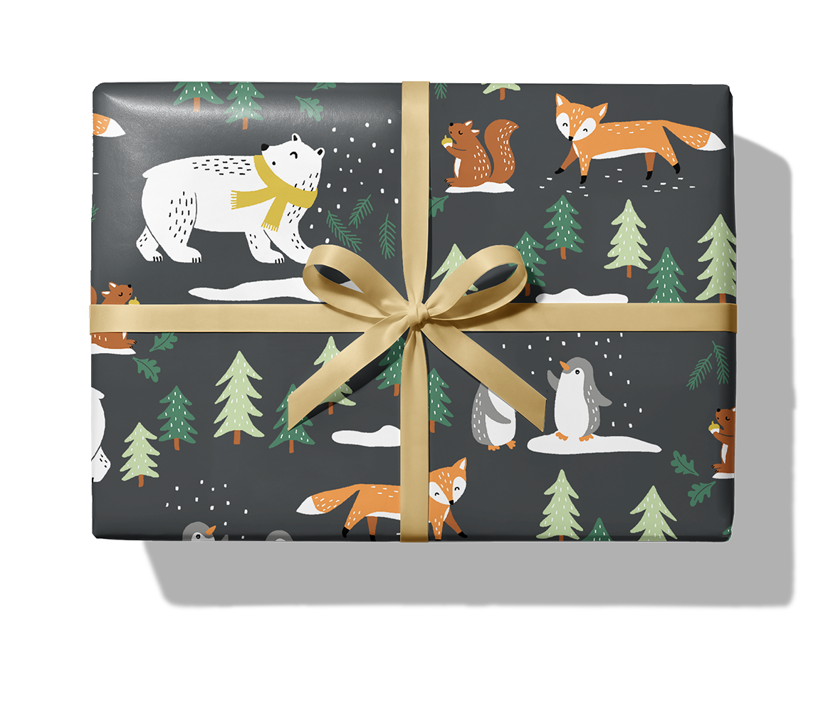 25621 Winter wood_Paket_Band.png