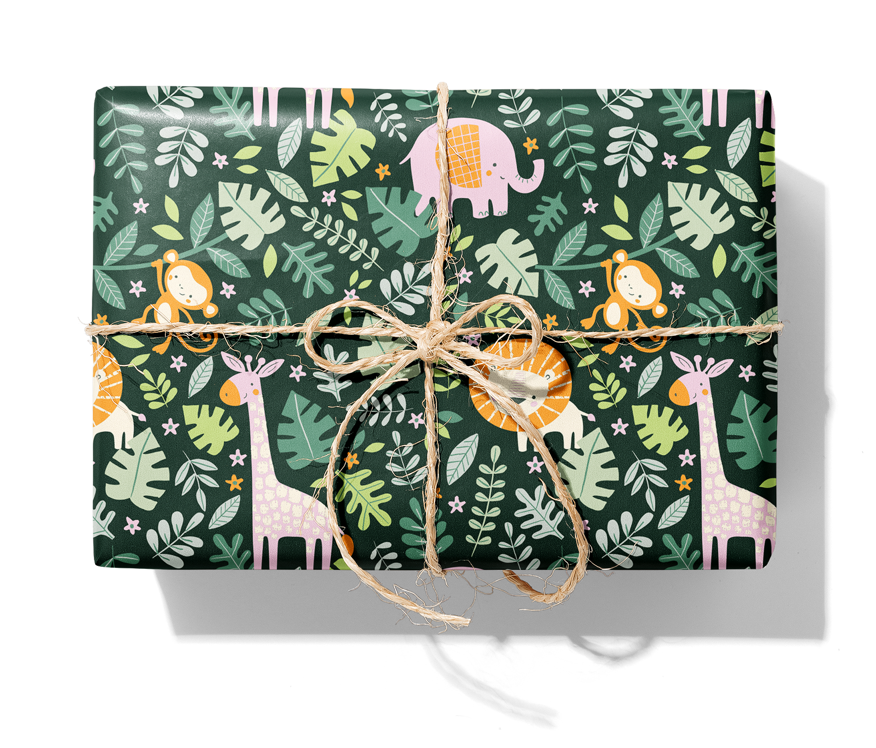 27301 Rainforest_1140_Paket.png