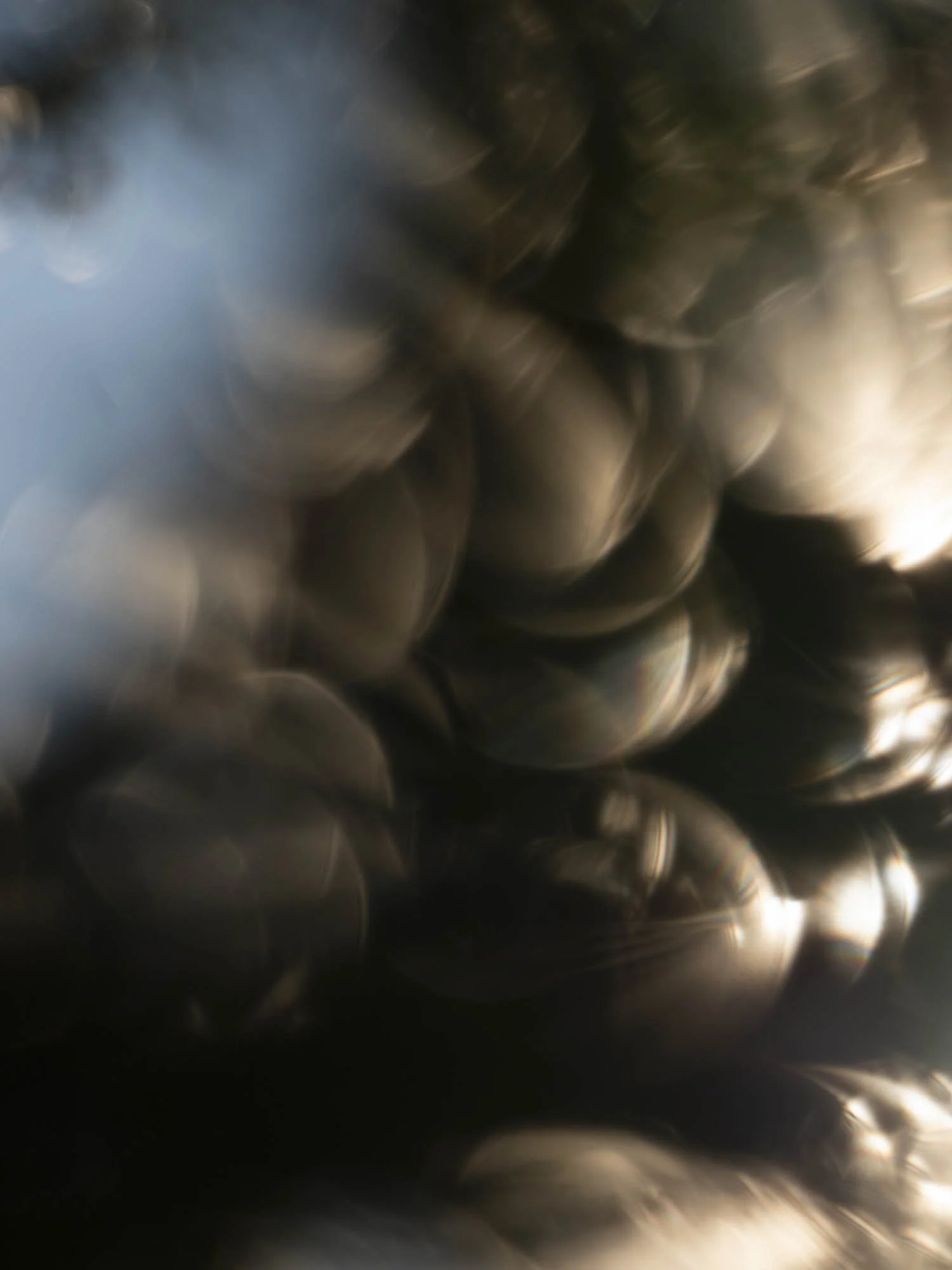 Photographie Julien Bernier Interférences#20