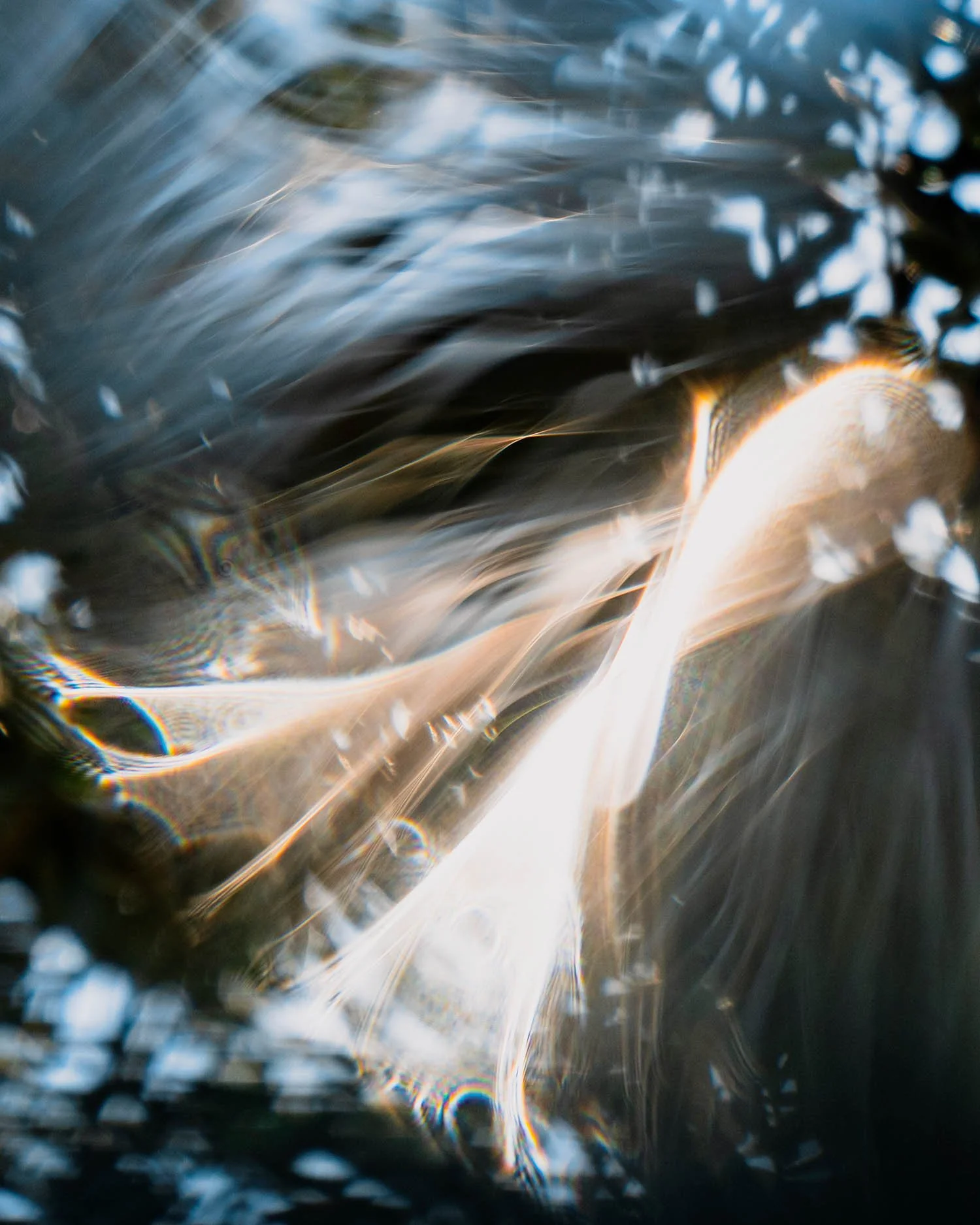 Photographie Julien Bernier Interférences#3