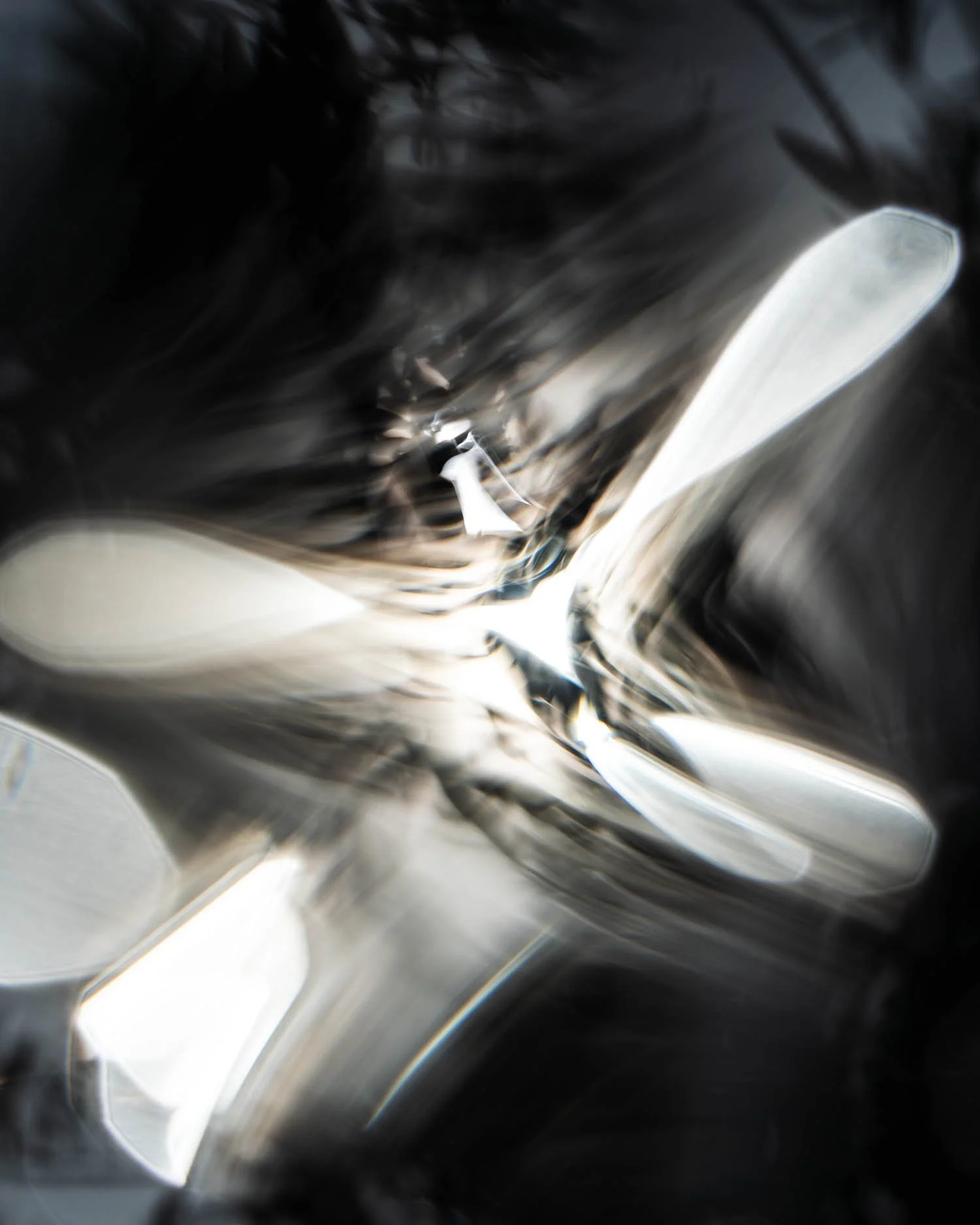 Photographie Julien Bernier Interférences#9