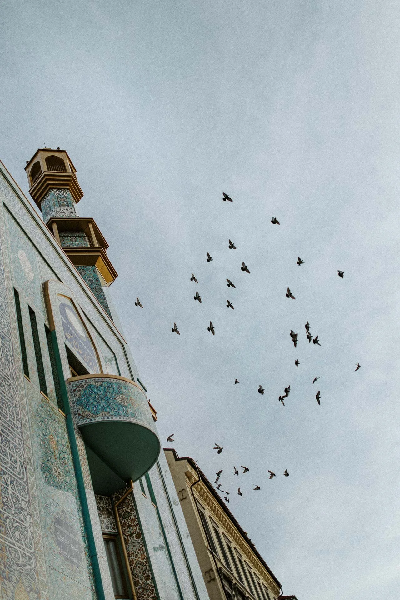 bilde av moske og fugler som flyr på himmelen  Fotografering av mennesker til bokprosjekt for Iman Meskini, utgitt på Pullman Publishing. Portrettene er fotografert i naturlig lys i Oslo.