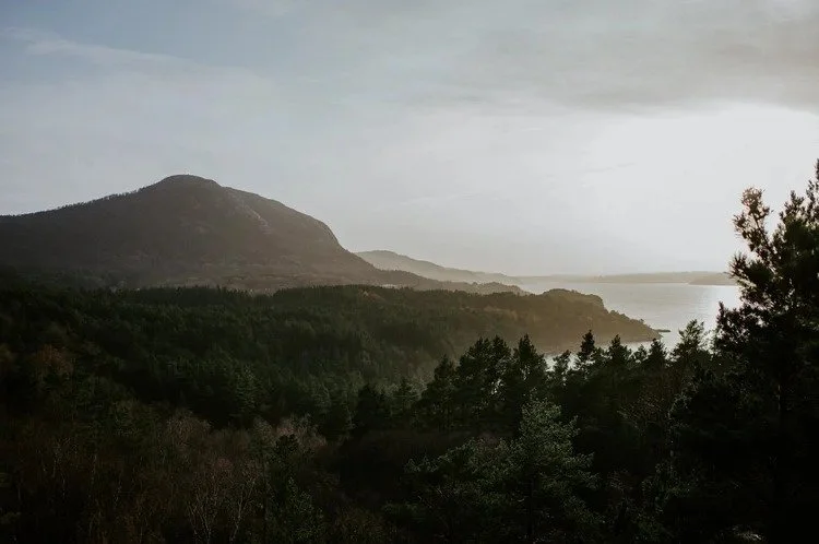 Landskap med fjell og tett skog ved et vann, under overskyet himmel.