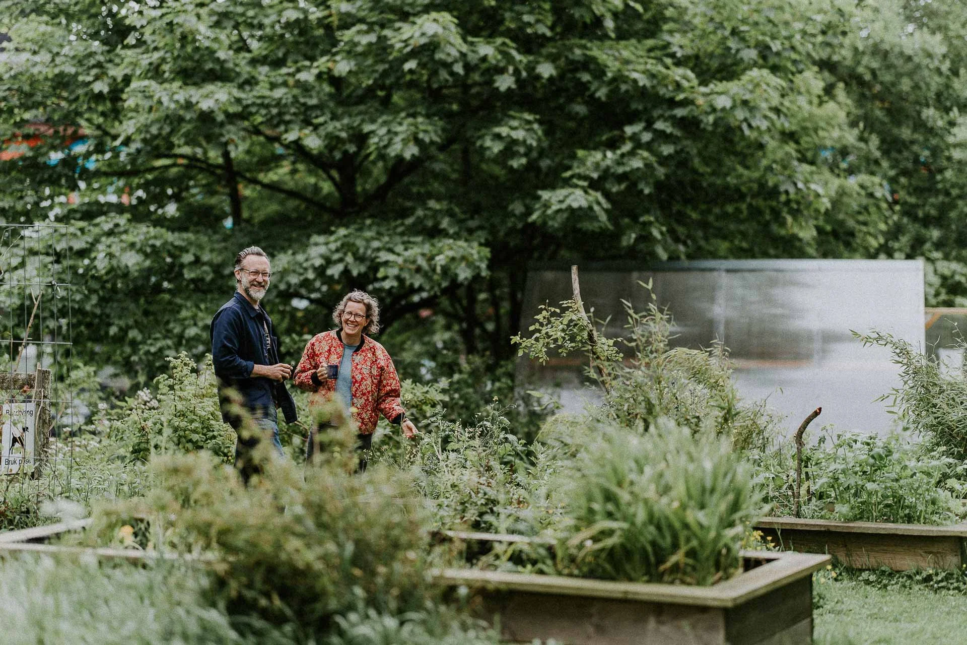 To personer som står i kolonihage og ser mot kamera de står langt unna kamera så dette er et oversiktsbilde mye grønt rundt og grønnsakbedd naturlig lys, reklamefotografering for stavanger kommune, områdesatsingen i hillevåg begge smiler