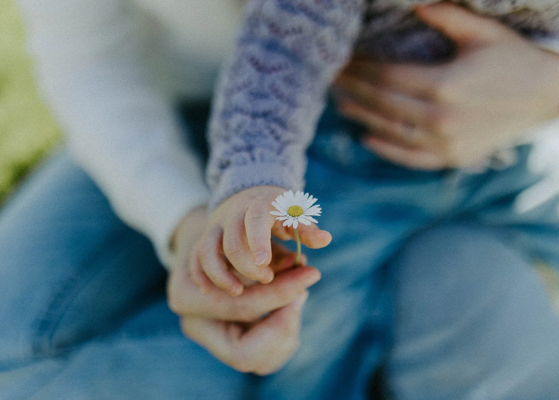 En voksen mann og en barnet hans som holder en Tusenfryd blomst detaljbilde naturlig lys, reklamefotografering for stavanger kommune, områdesatsingen på kvernevik tatt på sommeren