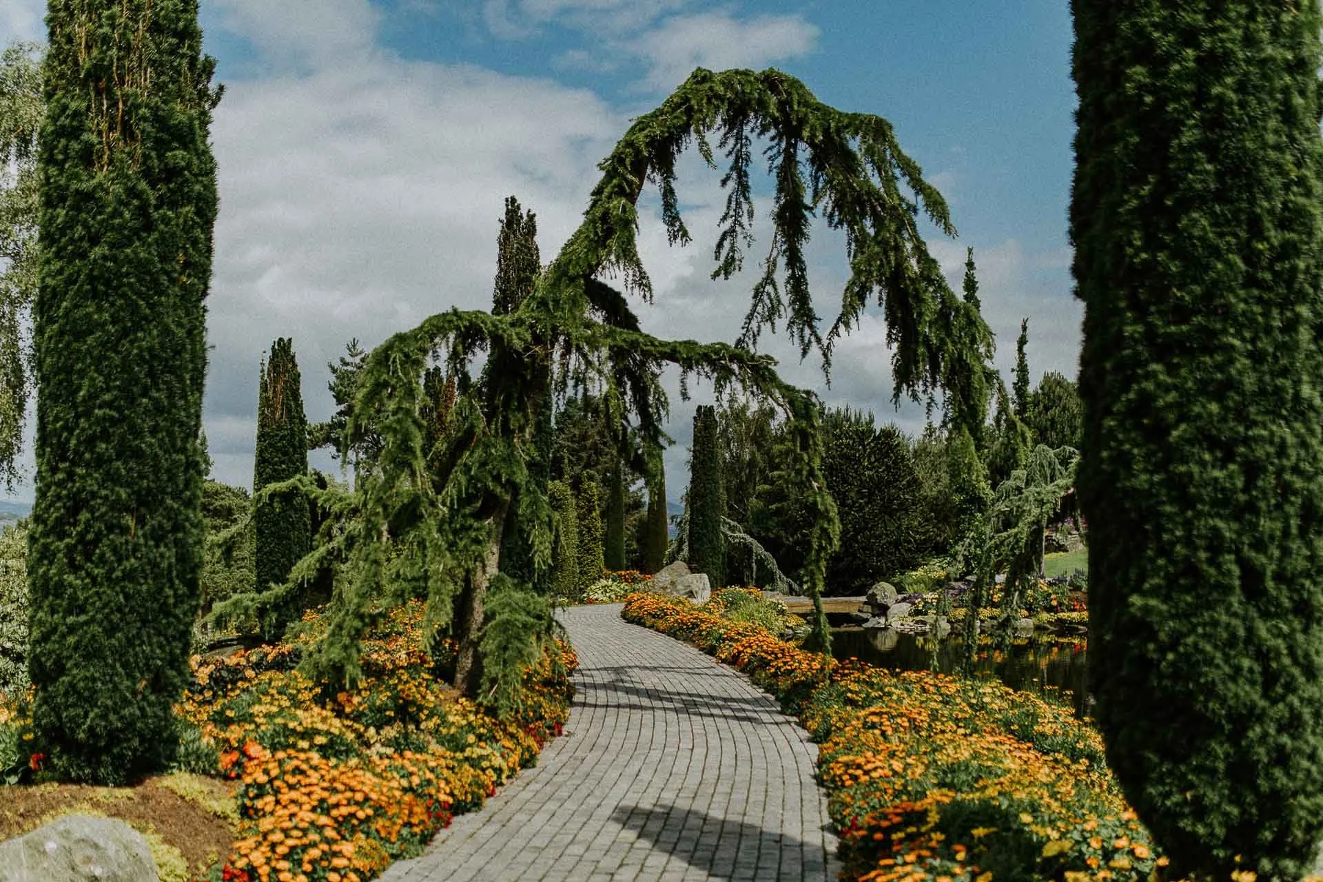 Bilder av modeller Anne Regine Ellingsæter, Vilde Vengnes, Camilla Waage og Ingrid Langdalen fra fotografering for Reli Fotograferingen foregikk på flor og fjære med natur og fargerike plagg