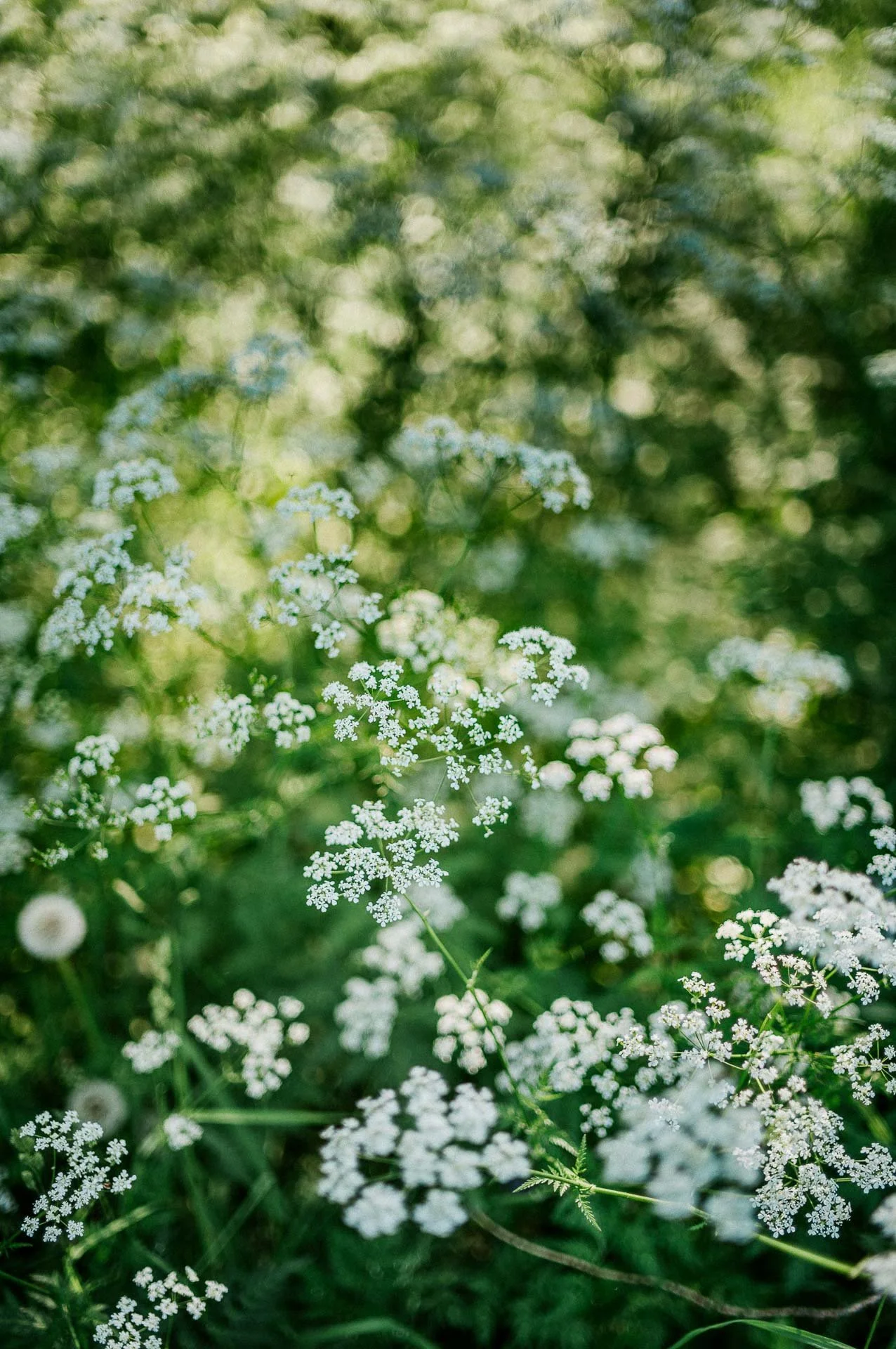 fargerikebilder av barn i lek til fæbrik sin bok fæbrik kids tatt utendørs på geitmyra matkultursenter. forfattere Jenny Skavlan, Ingrid Bergtun, Mari Norden og Ingrid Vik Lysne forlag Pullman publishing