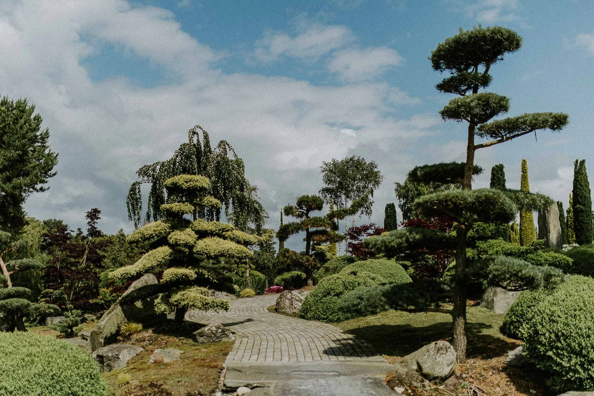 Bilder av modeller Anne Regine Ellingsæter, Vilde Vengnes, Camilla Waage og Ingrid Langdalen fra fotografering for Reli Fotograferingen foregikk på flor og fjære med natur og fargerike plagg