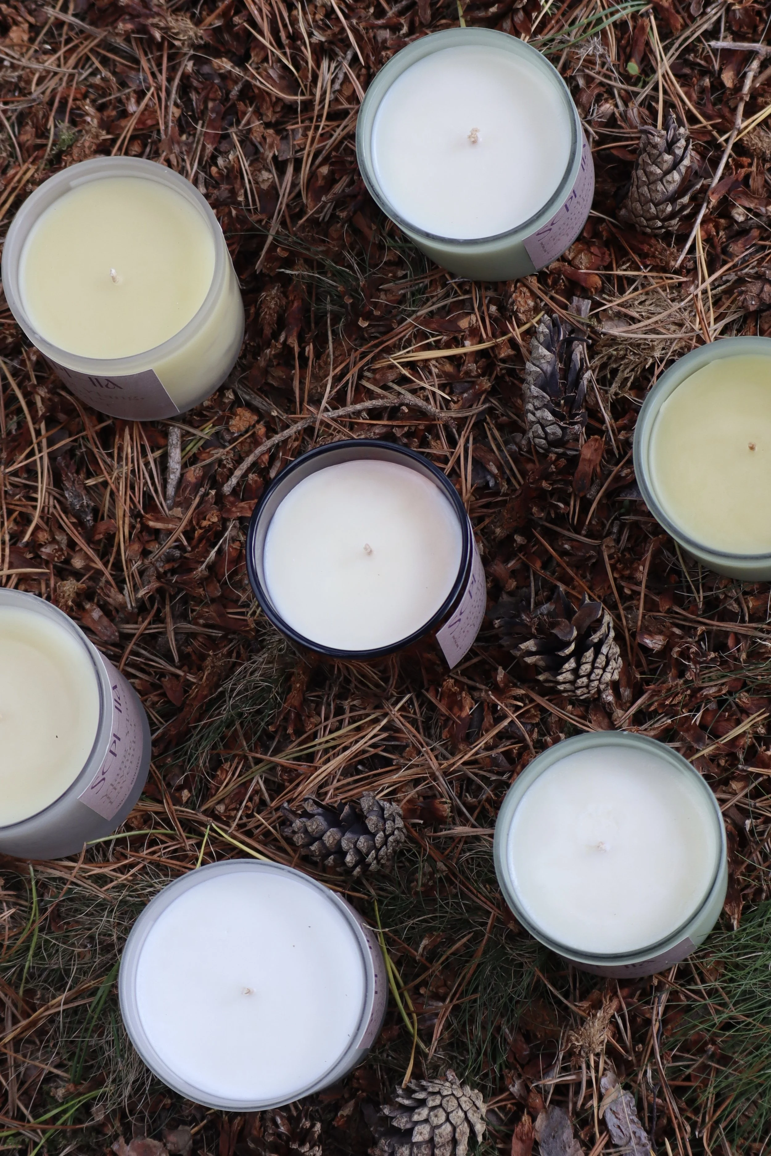 SS candle wick b eye view.JPG