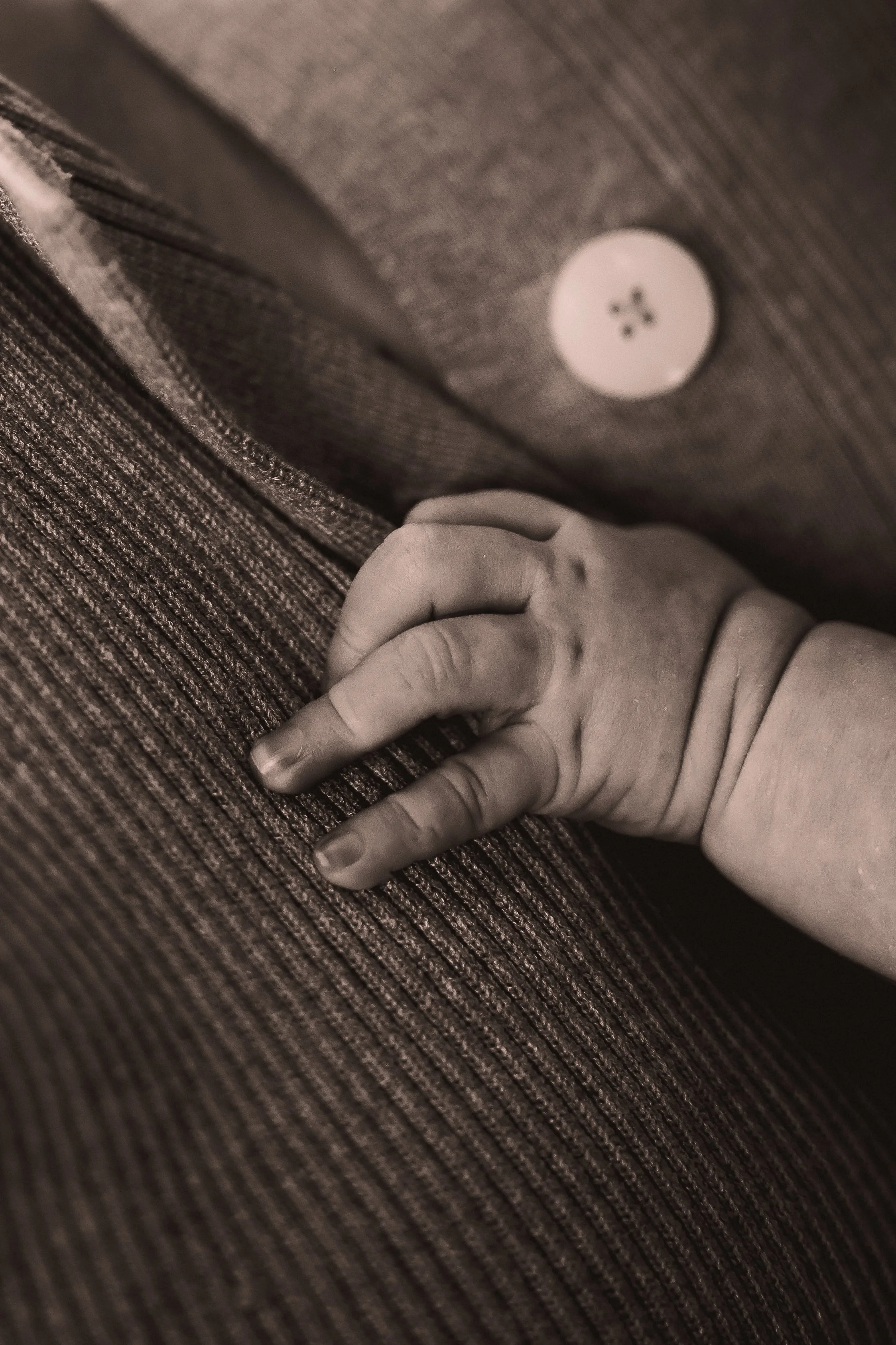 Photographe famille couple grossesse naissance baptême Cherbourg Manche Normandie France Europe