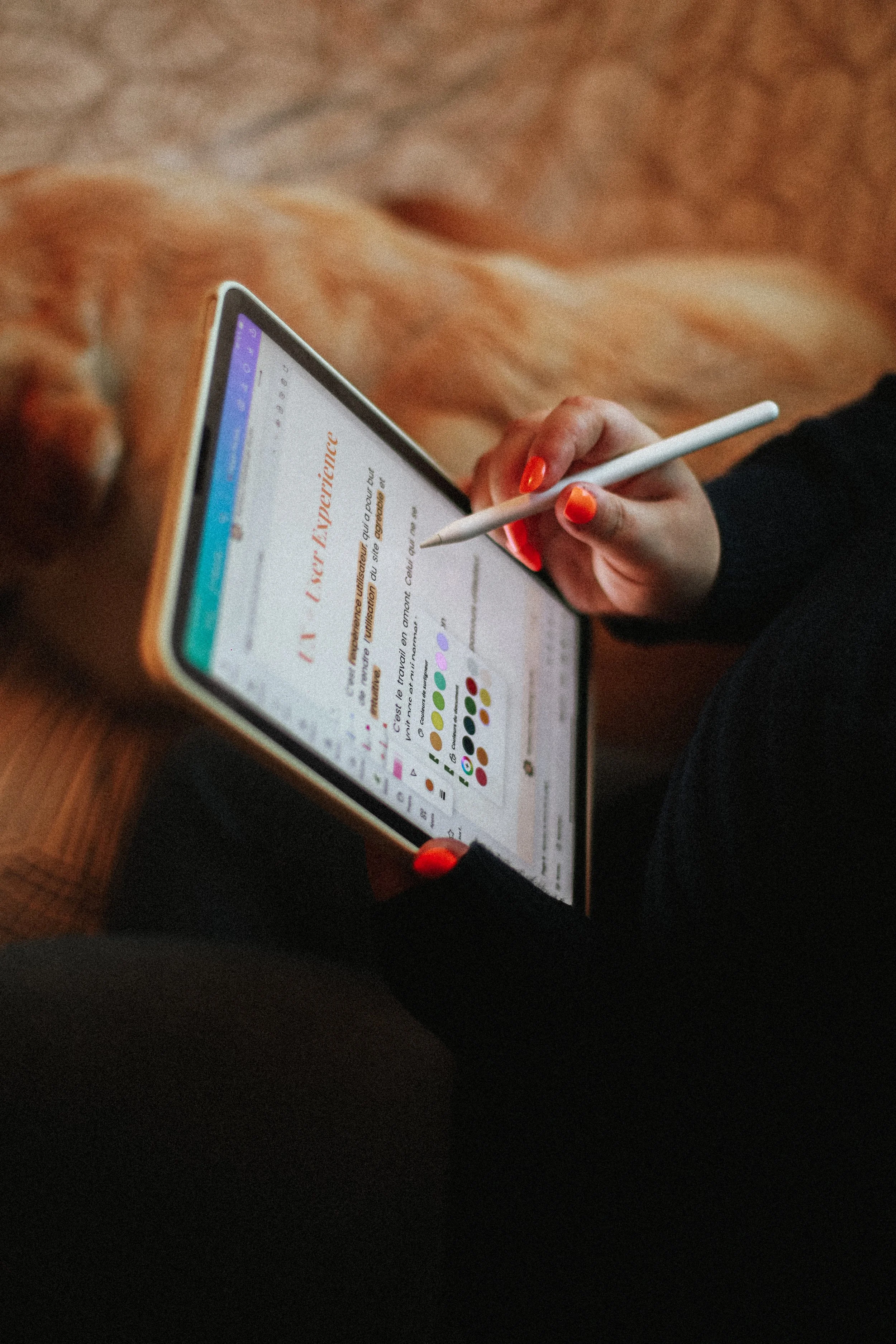 Photographe Coporate Photographe Produits Photographe Mode Photographe Portrait Pro