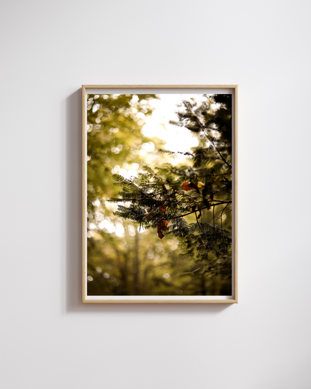 Collection Automne 2025 (13).png