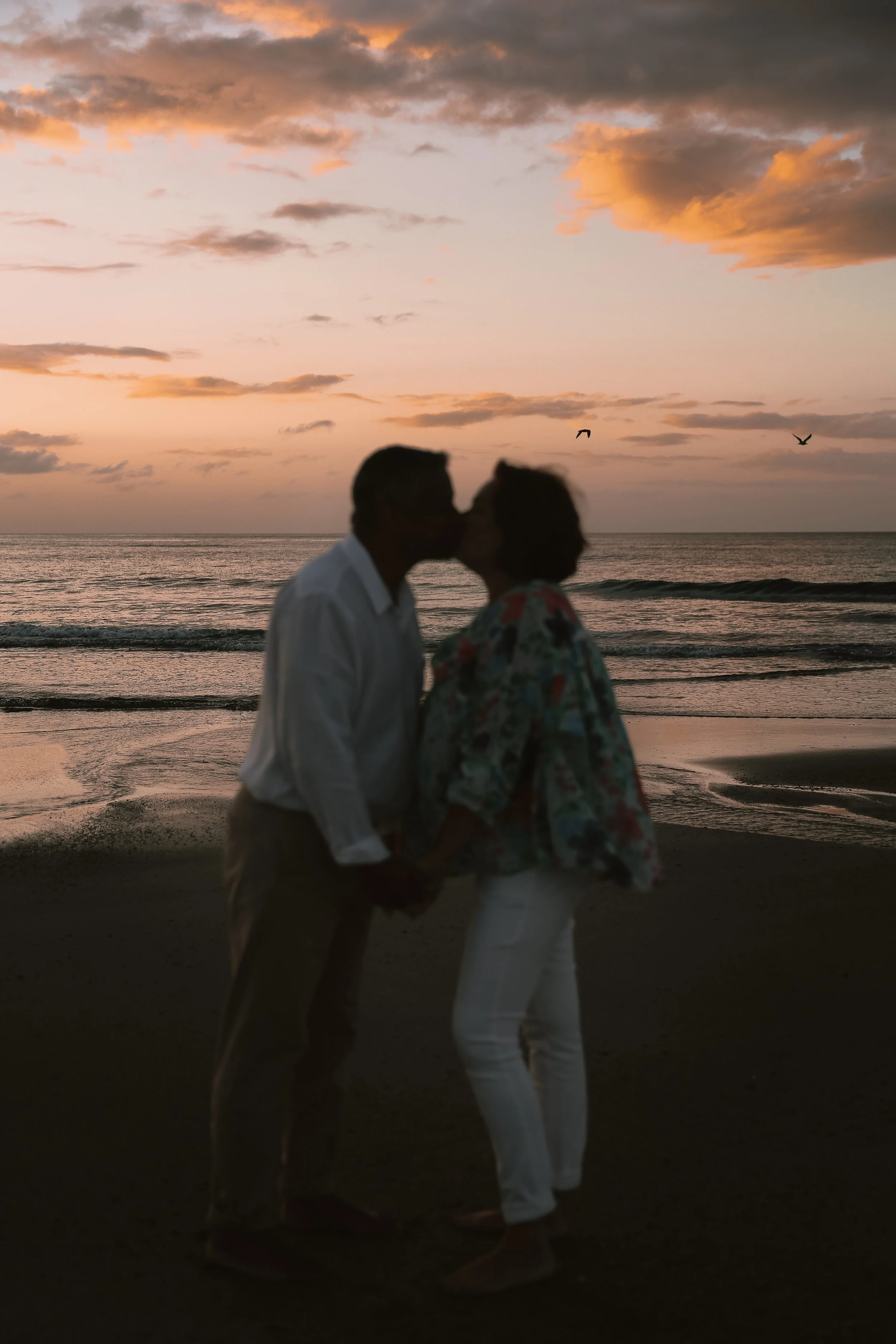 Photographe famille couple grossesse naissance baptême Cherbourg Manche Normandie France Europe