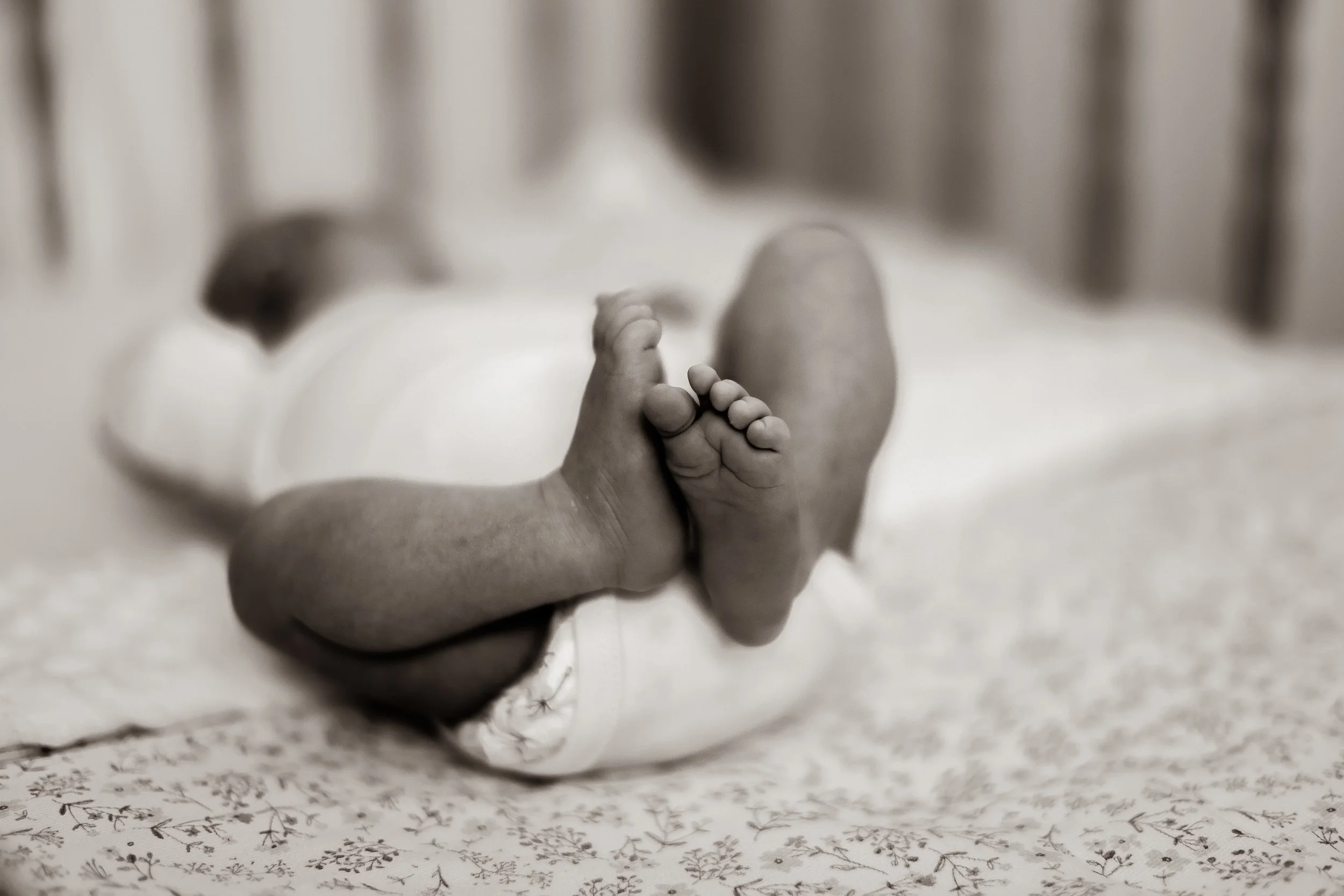 Photographe famille couple grossesse naissance baptême Cherbourg Manche Normandie France Europe