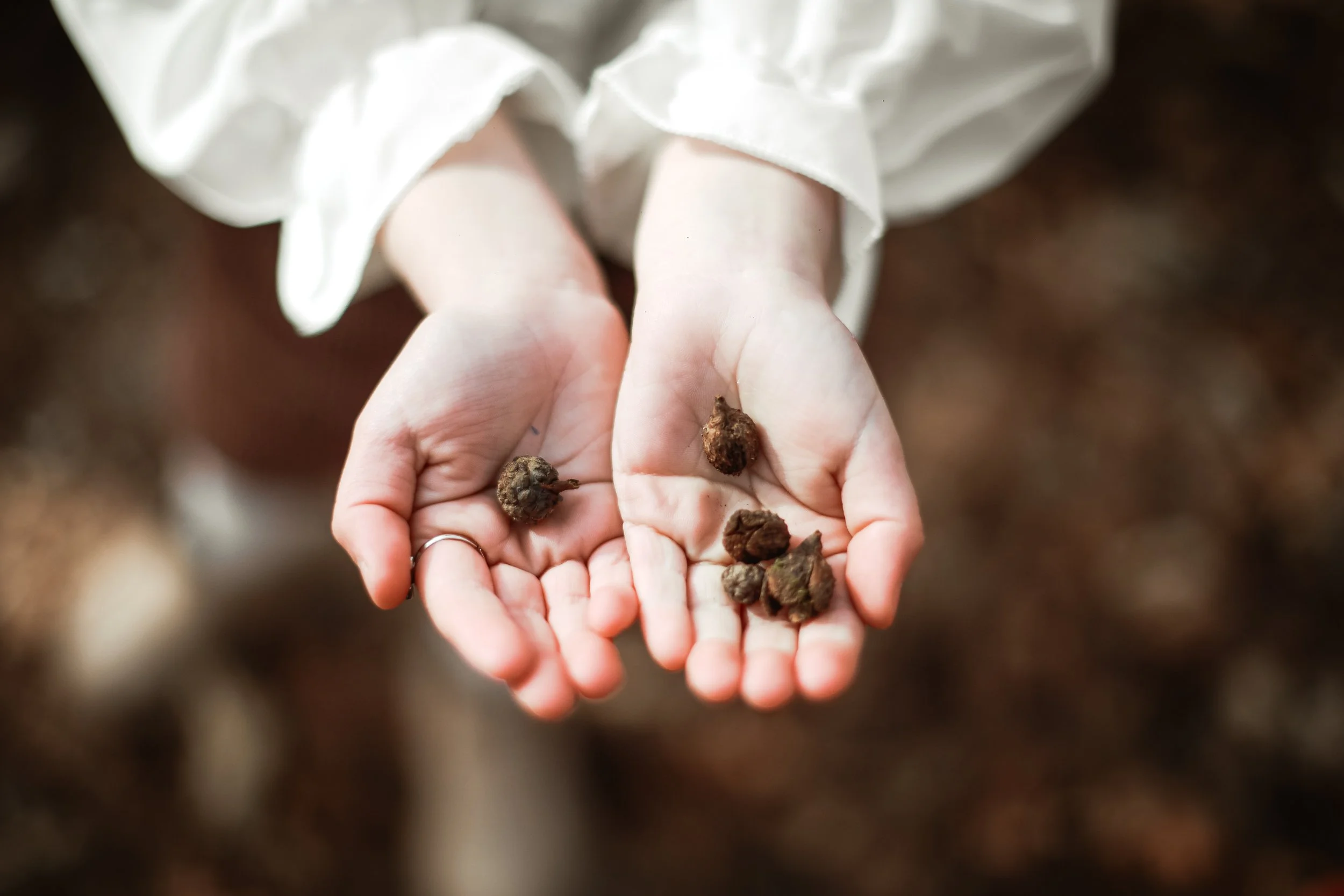 Photographe famille couple grossesse naissance baptême Cherbourg Manche Normandie France Europe