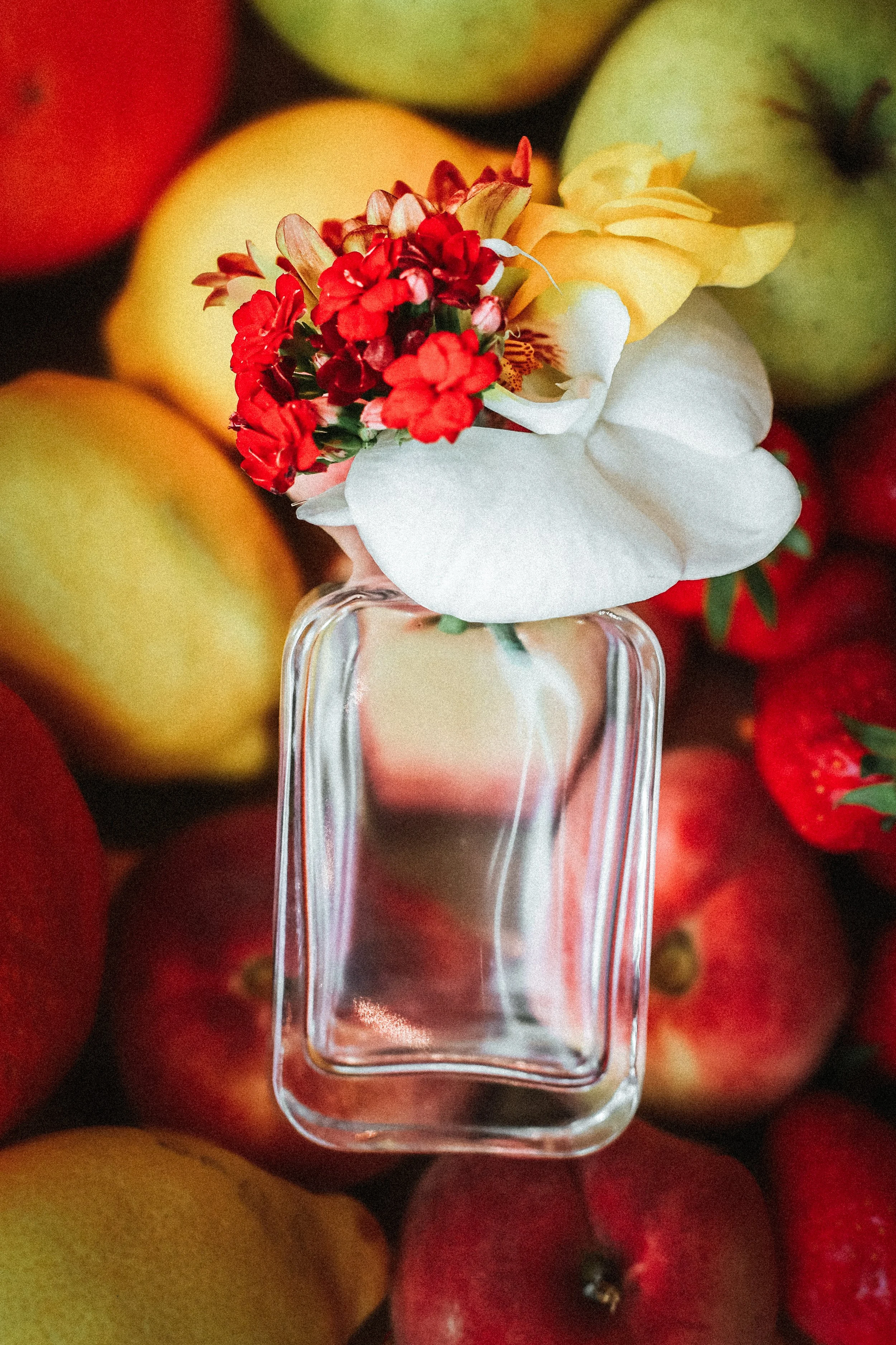 Photographe Coporate Photographe Produits Photographe Mode Photographe Portrait Pro