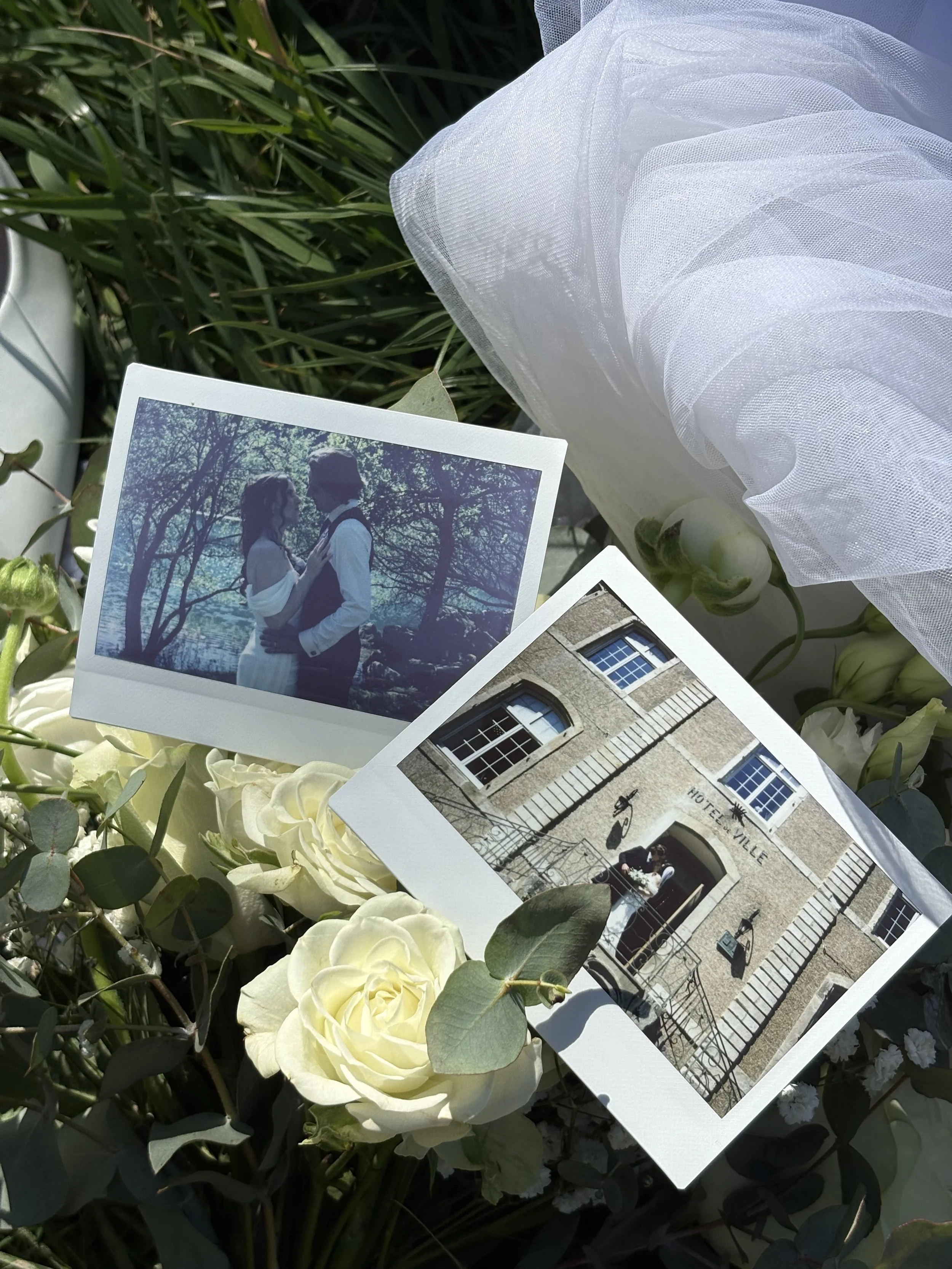 Photographie de plusieurs cartes postales posées sur des fleurs blanches et vertes, avec des arbres en fond.