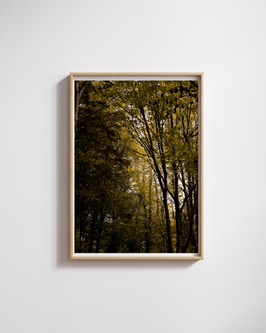 Collection Automne 2025 (9).png