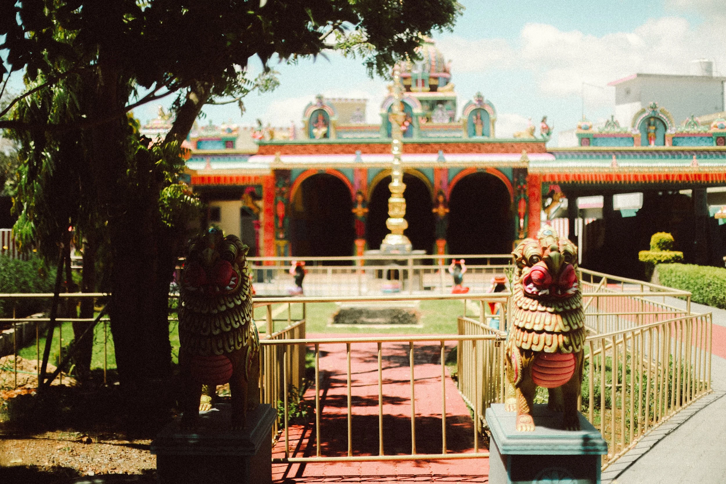 Plongez dans un mariage tamoul à l’île Maurice au temple Sri Mariamman Thirukovil Berthaud à Quatre-Bornes : une cérémonie authentique, colorée et riche en émotions, idéale pour un destination wedding unique.