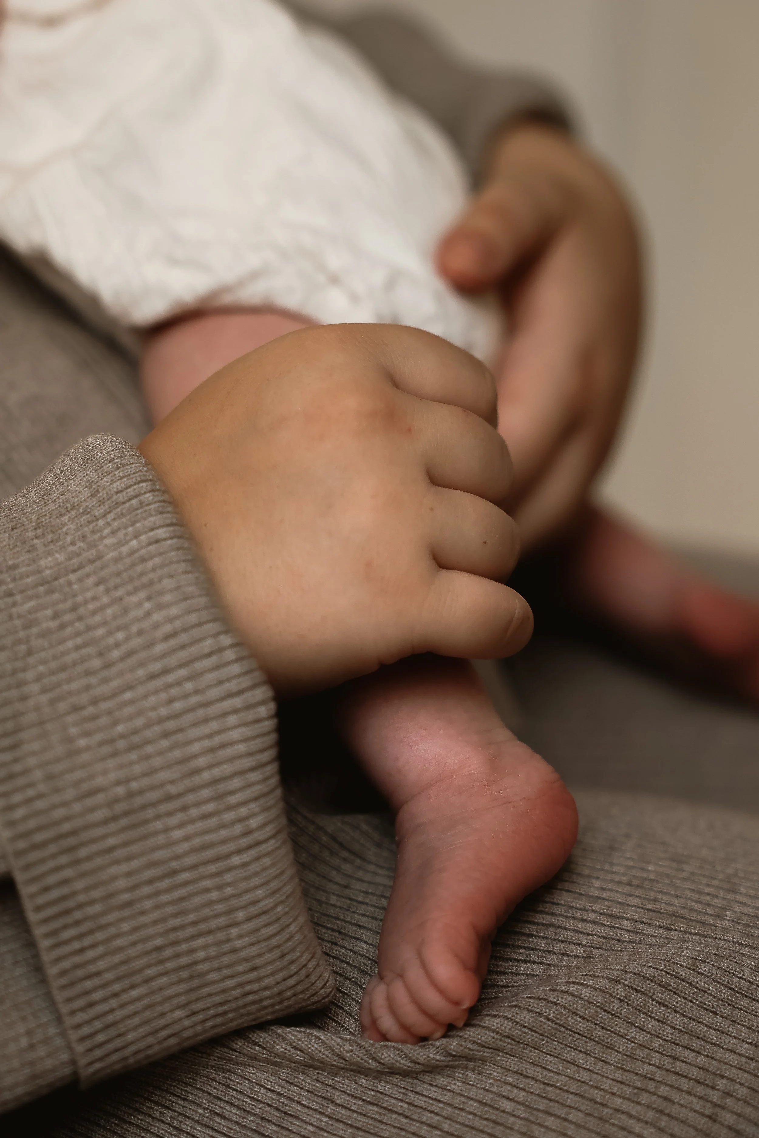 Photographe famille couple grossesse naissance baptême Cherbourg Manche Normandie France Europe