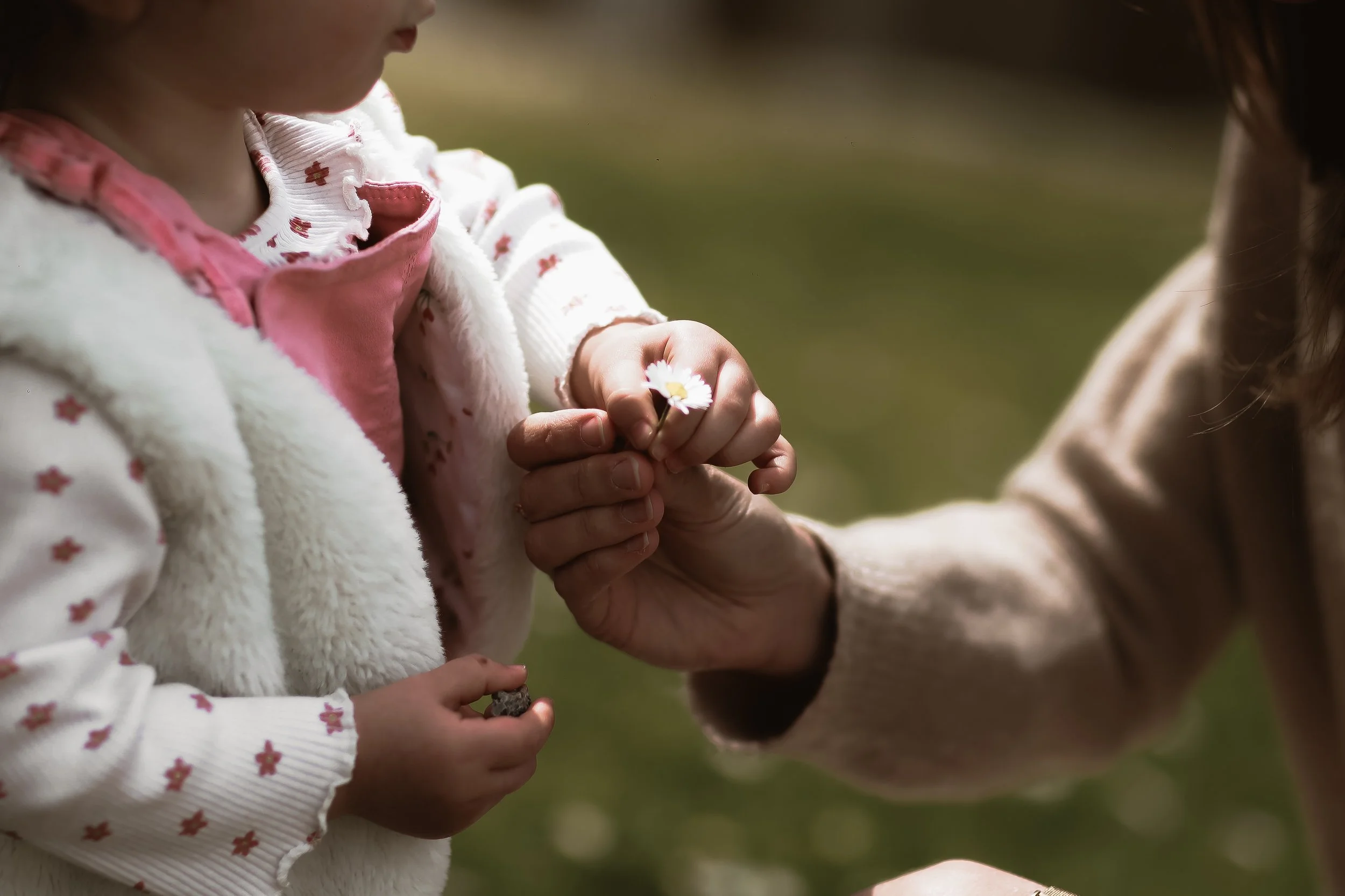 Photographe famille couple grossesse naissance baptême Cherbourg Manche Normandie France Europe