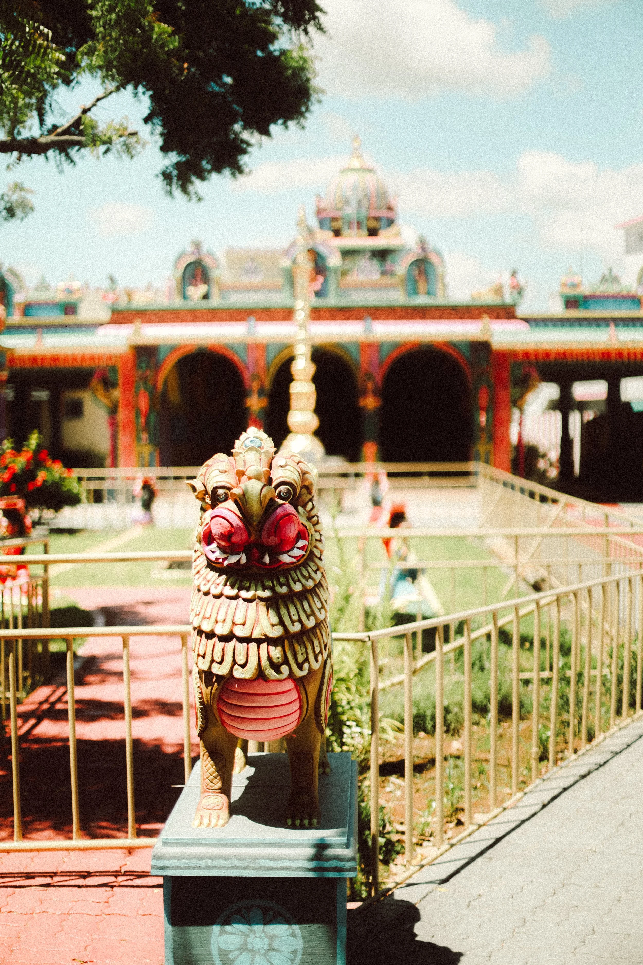 Plongez dans un mariage tamoul à l’île Maurice au temple Sri Mariamman Thirukovil Berthaud à Quatre-Bornes : une cérémonie authentique, colorée et riche en émotions, idéale pour un destination wedding unique.