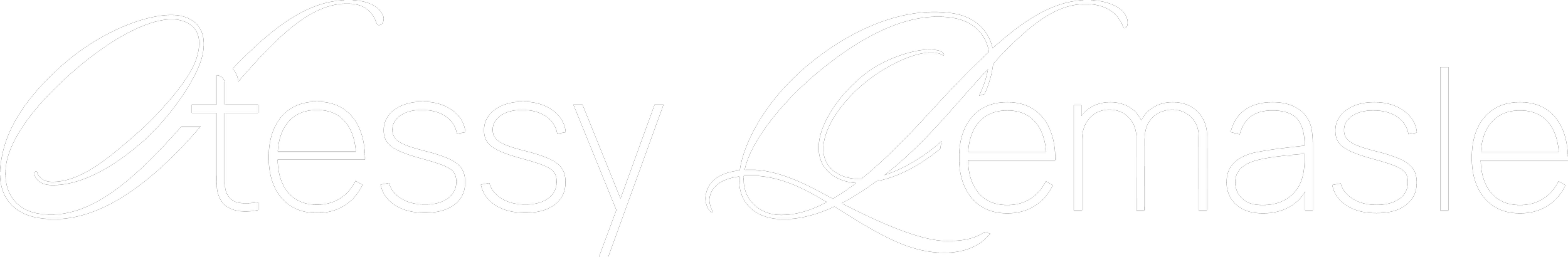 Logo pour photographe Stessy Lemasle