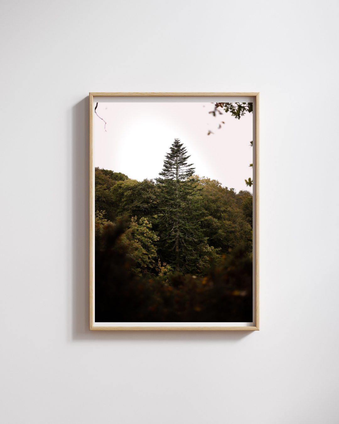 Collection Automne 2025 (1).png