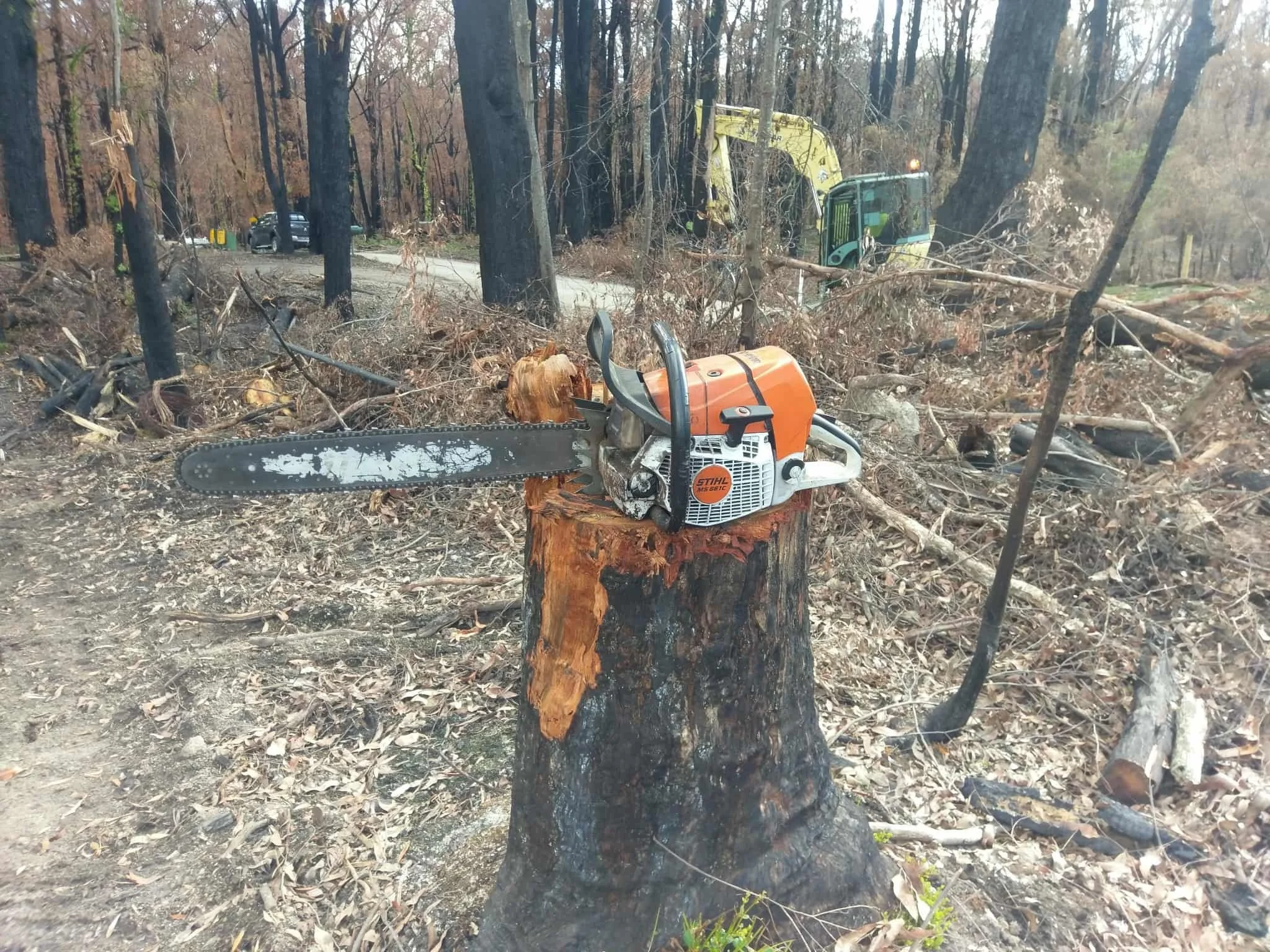 Chainsaw resting on cut tree stump in wooded area with fallen branches and trees, and construction vehicle in the background.