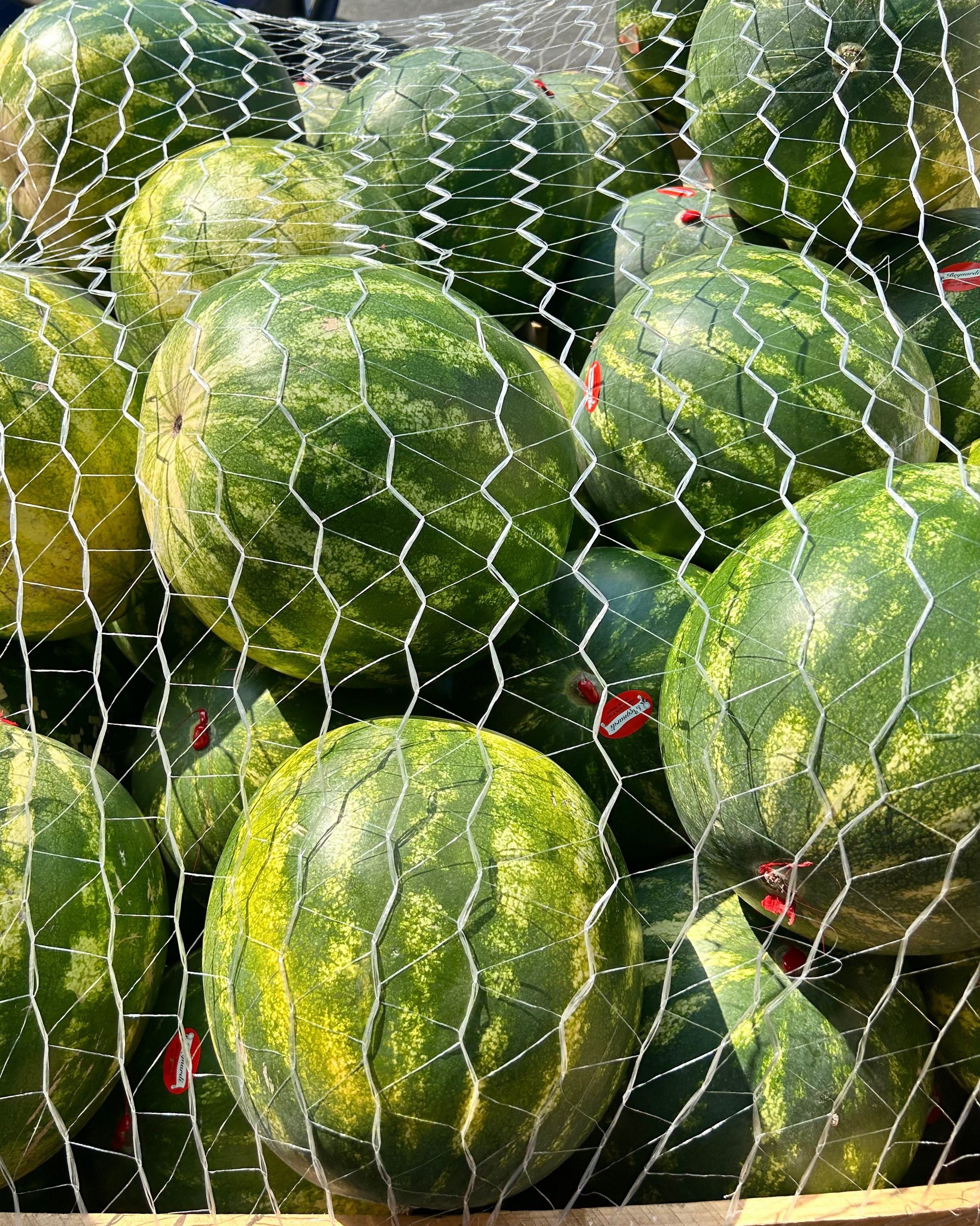 Social media strategist